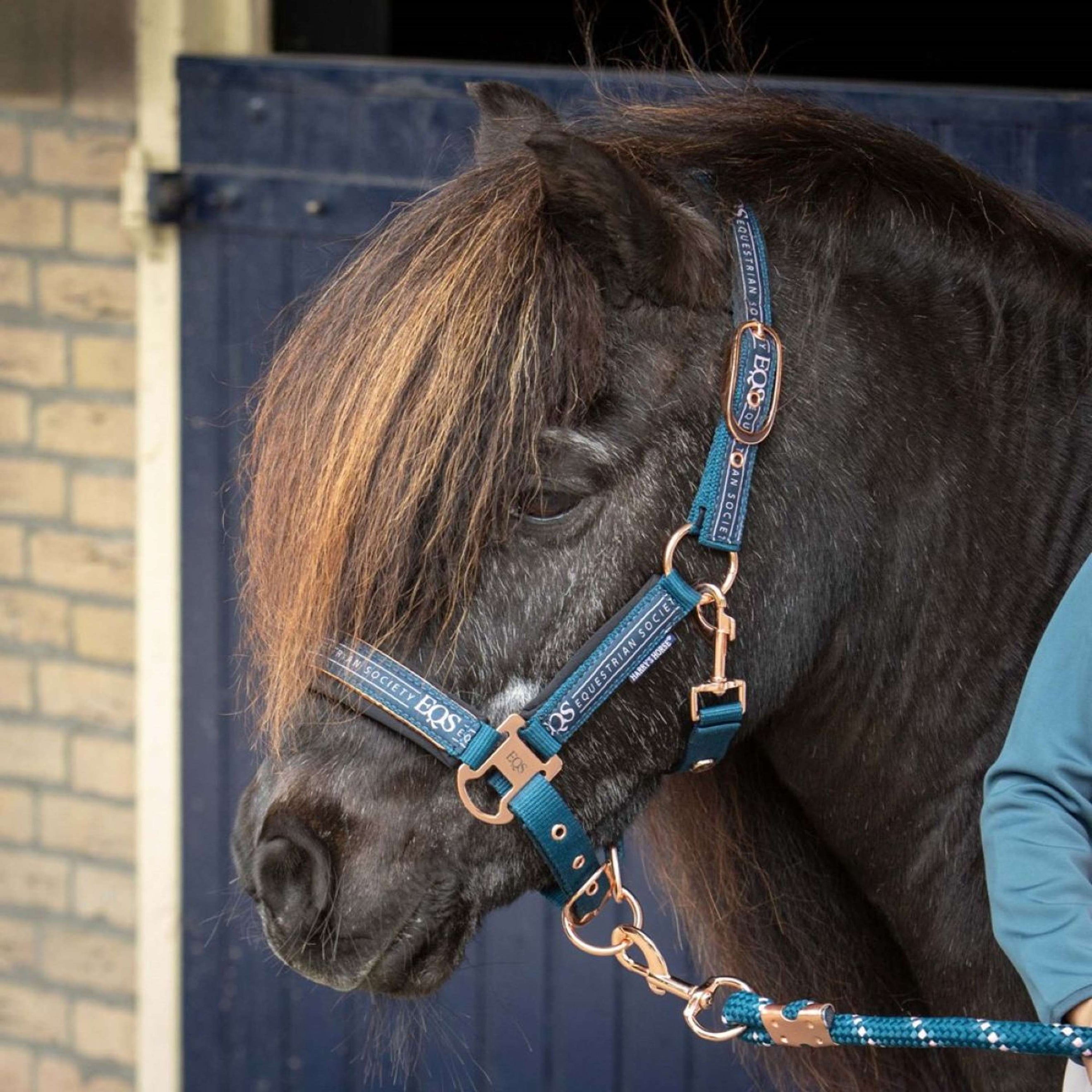Harry's Horse Halfterset Equestrian Society Moonlit Ocean Harry's Horse Halfterset Equestrian Society Moonlit Ocean