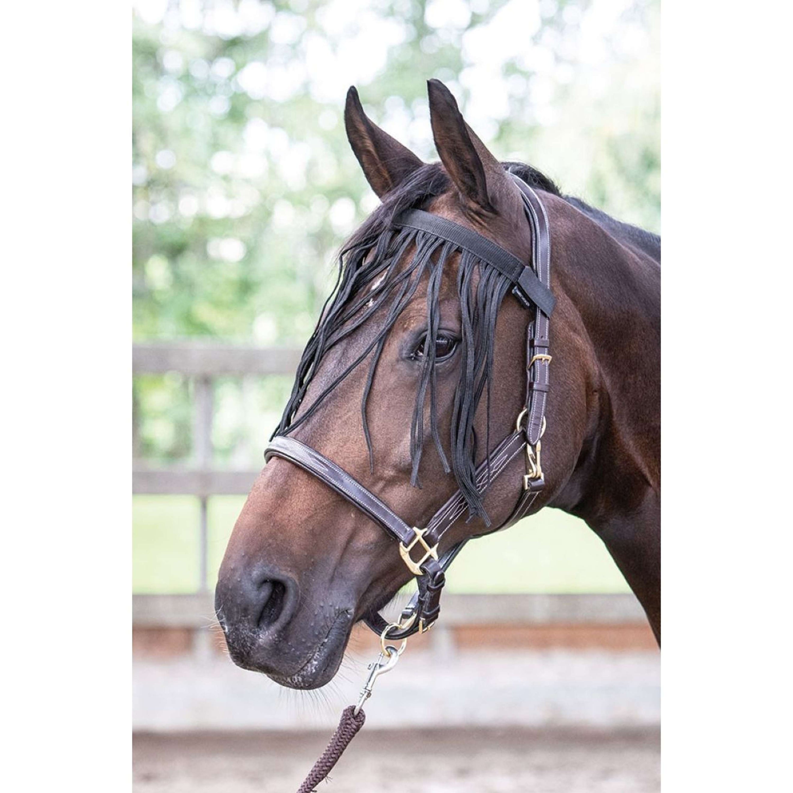 Harry's Horse Fliegenaugenschutzband Schwarz Harry's Horse Fliegenaugenschutzband Schwarz