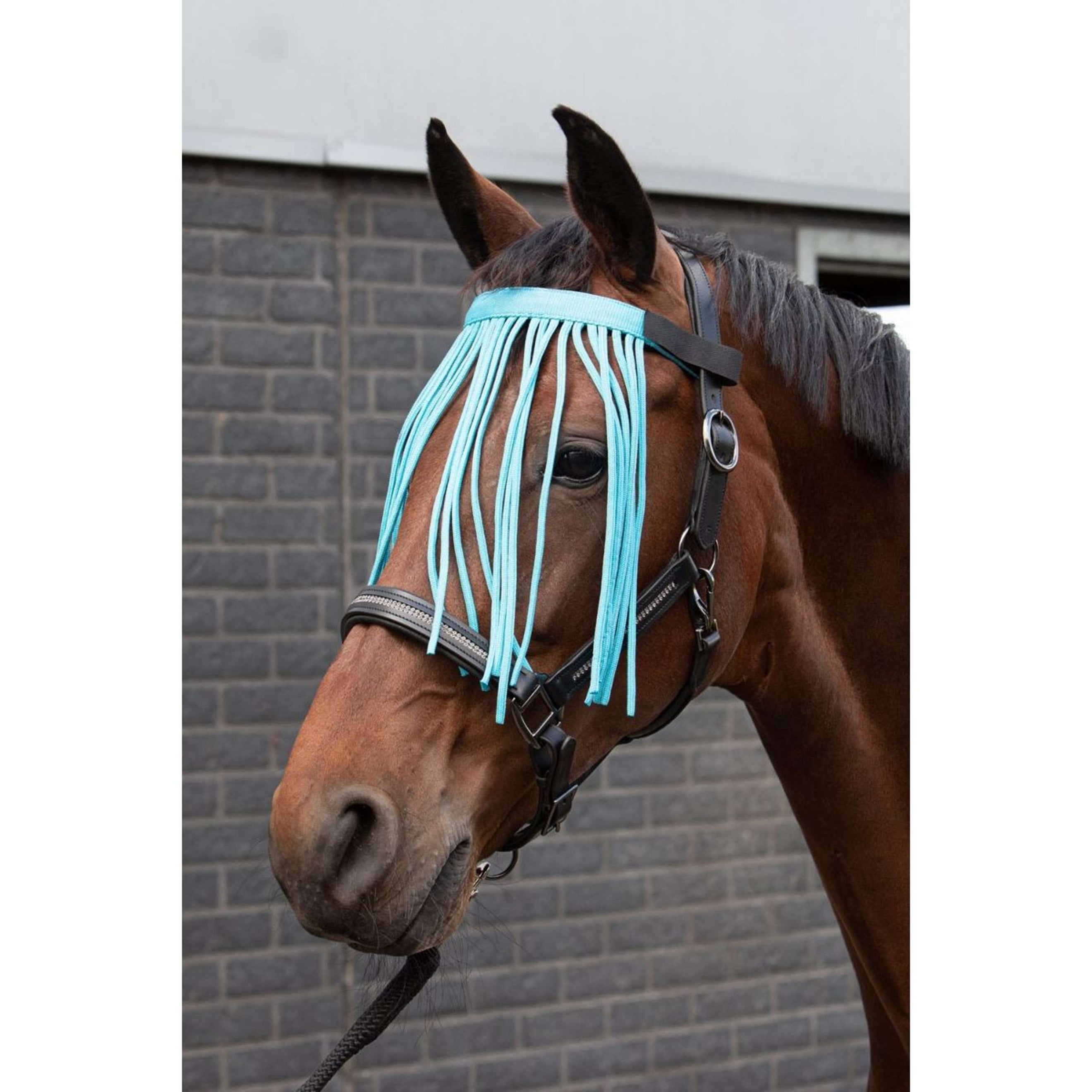 Harry's Horse Fliegenstirnband Colour Hellblau Harry's Horse Fliegenstirnband Colour Hellblau
