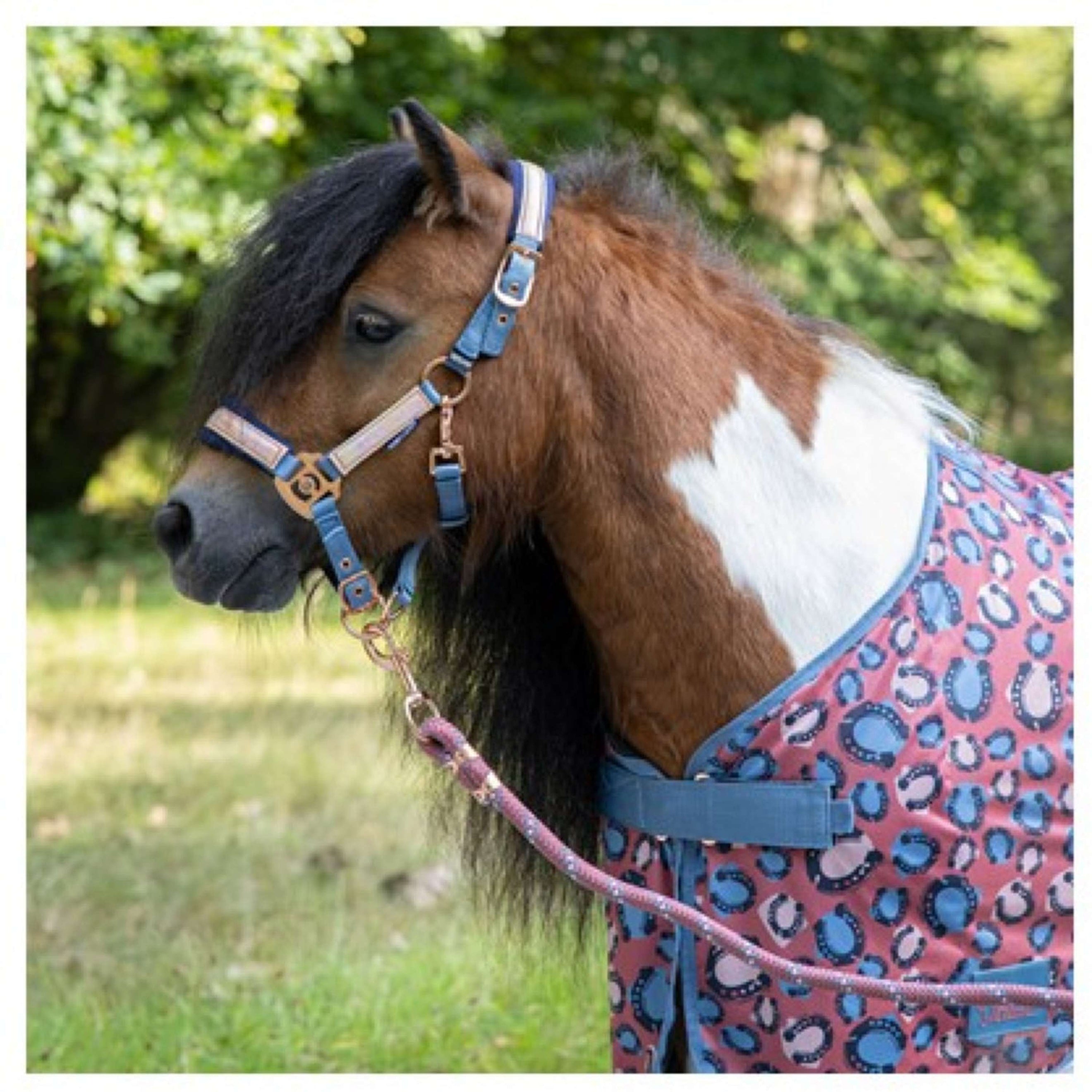 Harry's Horse Fliegendecke Diva Mauvewood Mesh-Pro Mauvewood Harry's Horse Fliegendecke Diva Mauvewood Mesh-Pro Mauvewood
