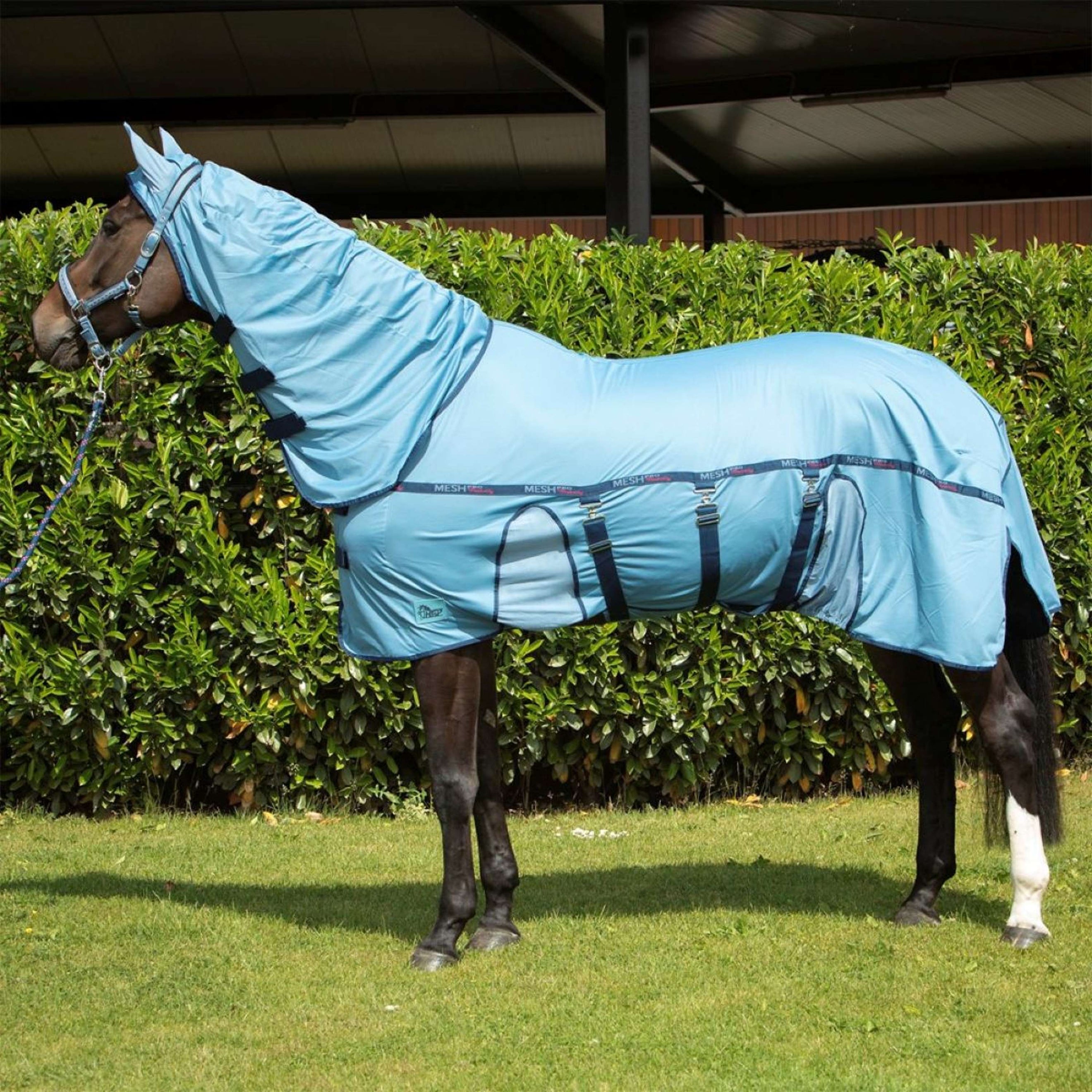 Harry's Horse Fliegendecke Mesh-Pro Belly Blue Heaven Harry's Horse Fliegendecke Mesh-Pro Belly Blue Heaven