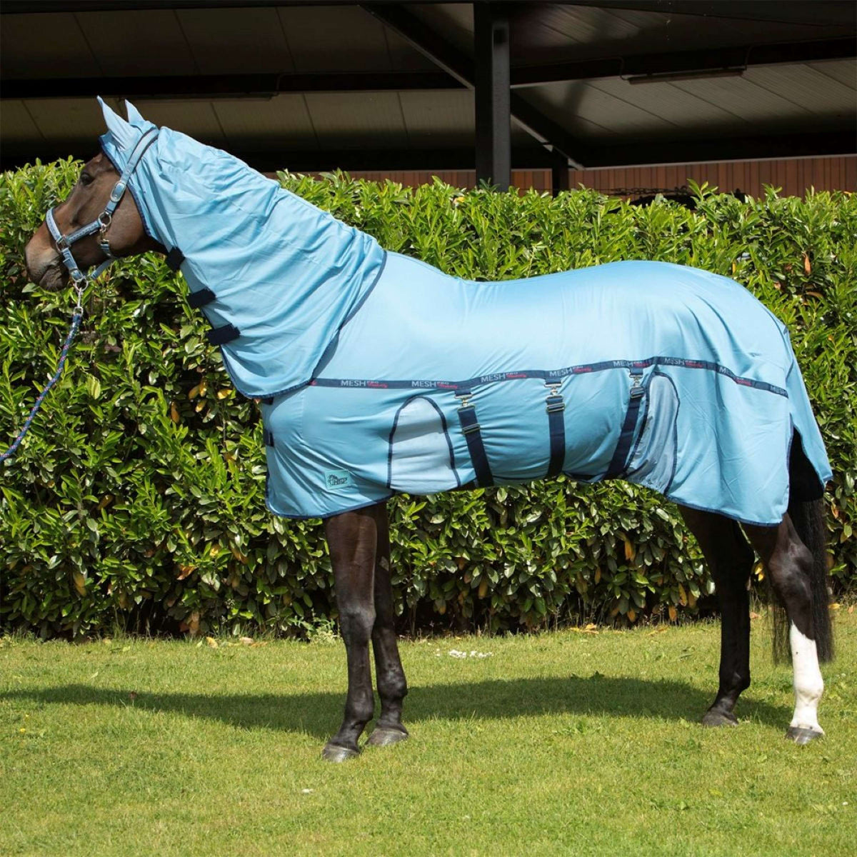 Harry's Horse Fliegendecke Mesh-Pro Belly Blue Heaven