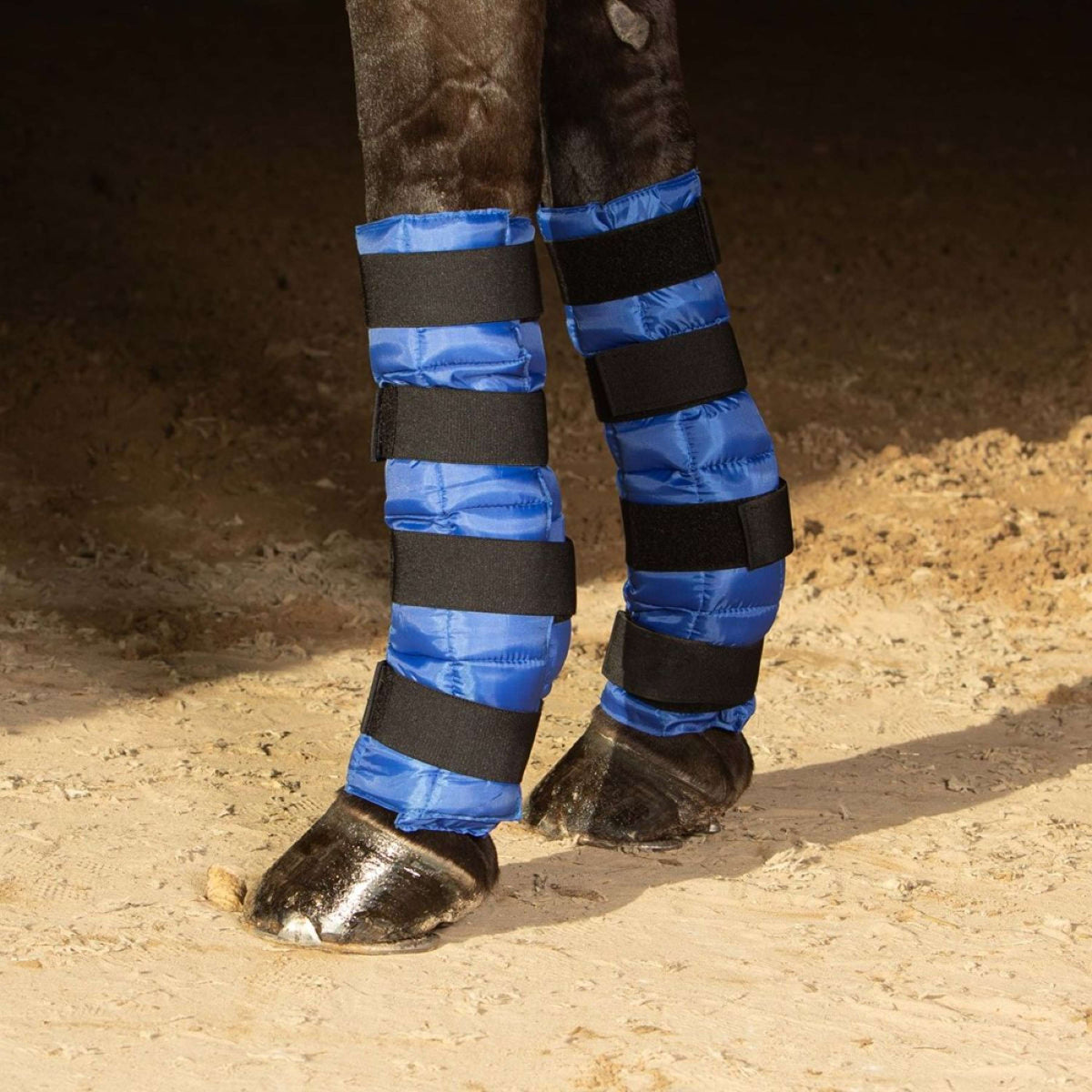 Harry's Horse Cold Wrap Blau