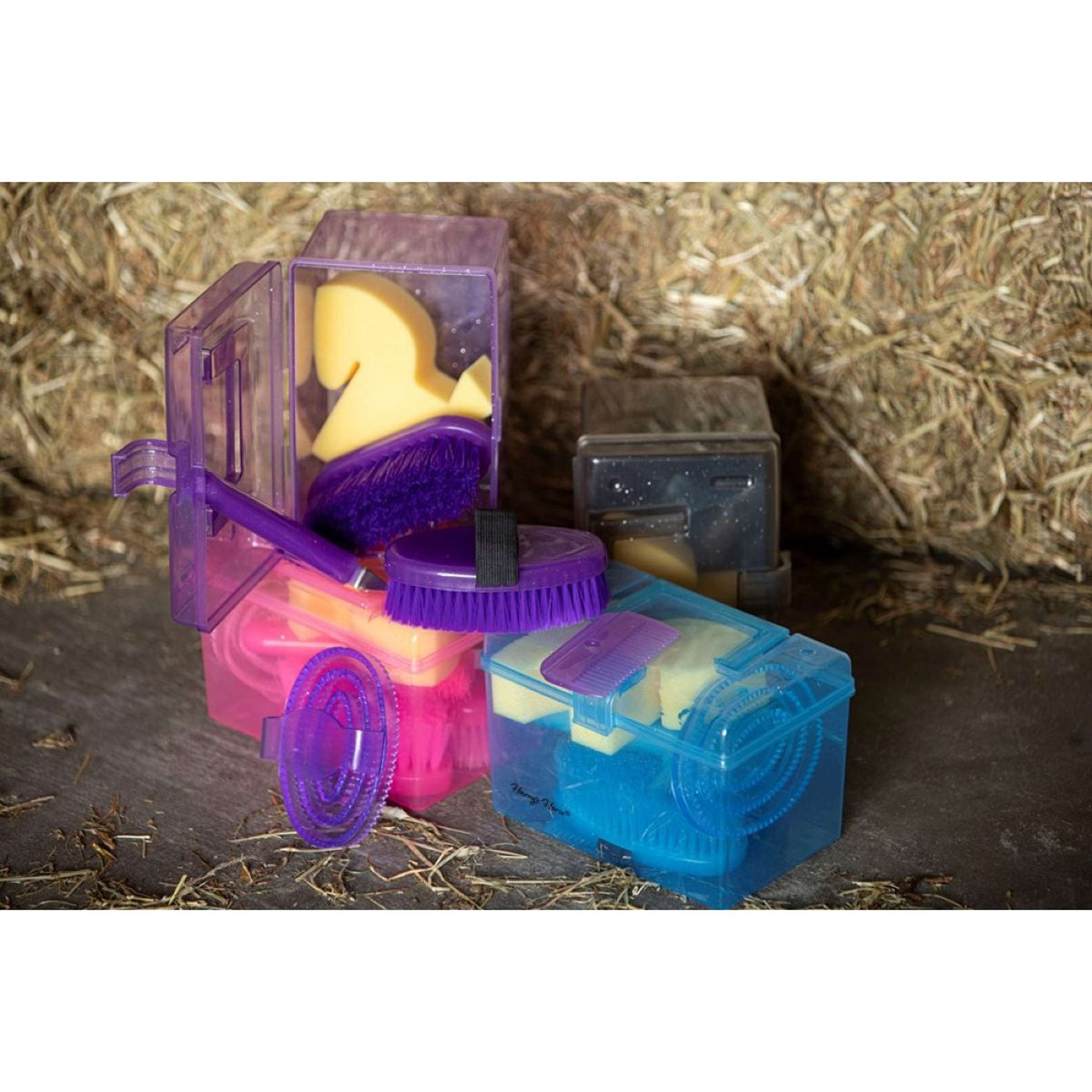 Harry's Horse Mini Gift Box Violett