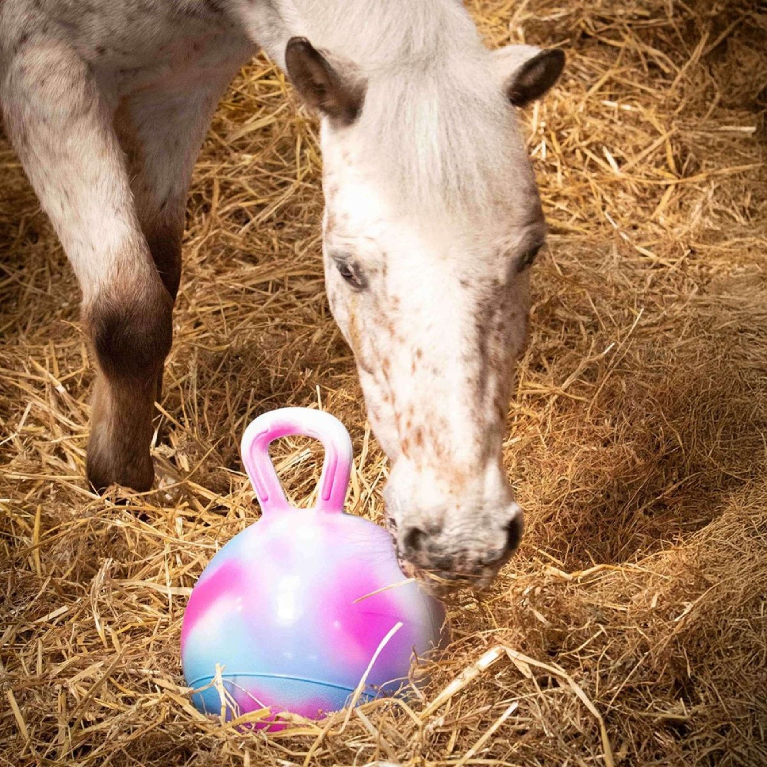 Harry's Horse Spielgerät für Pferde Assorti