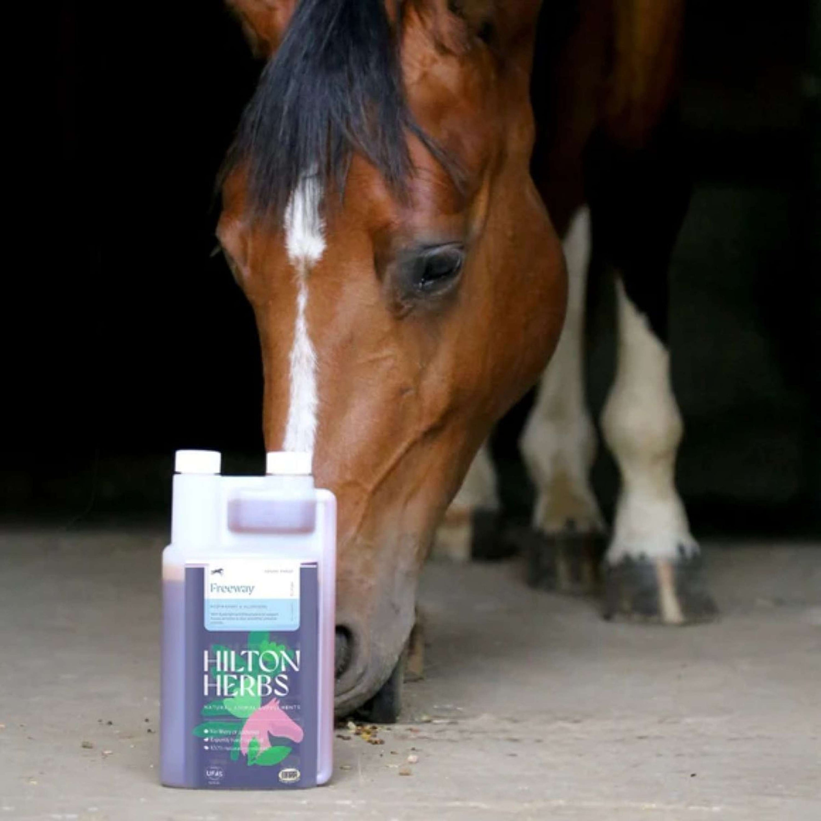 Hilton Herbs Freeway Liquid