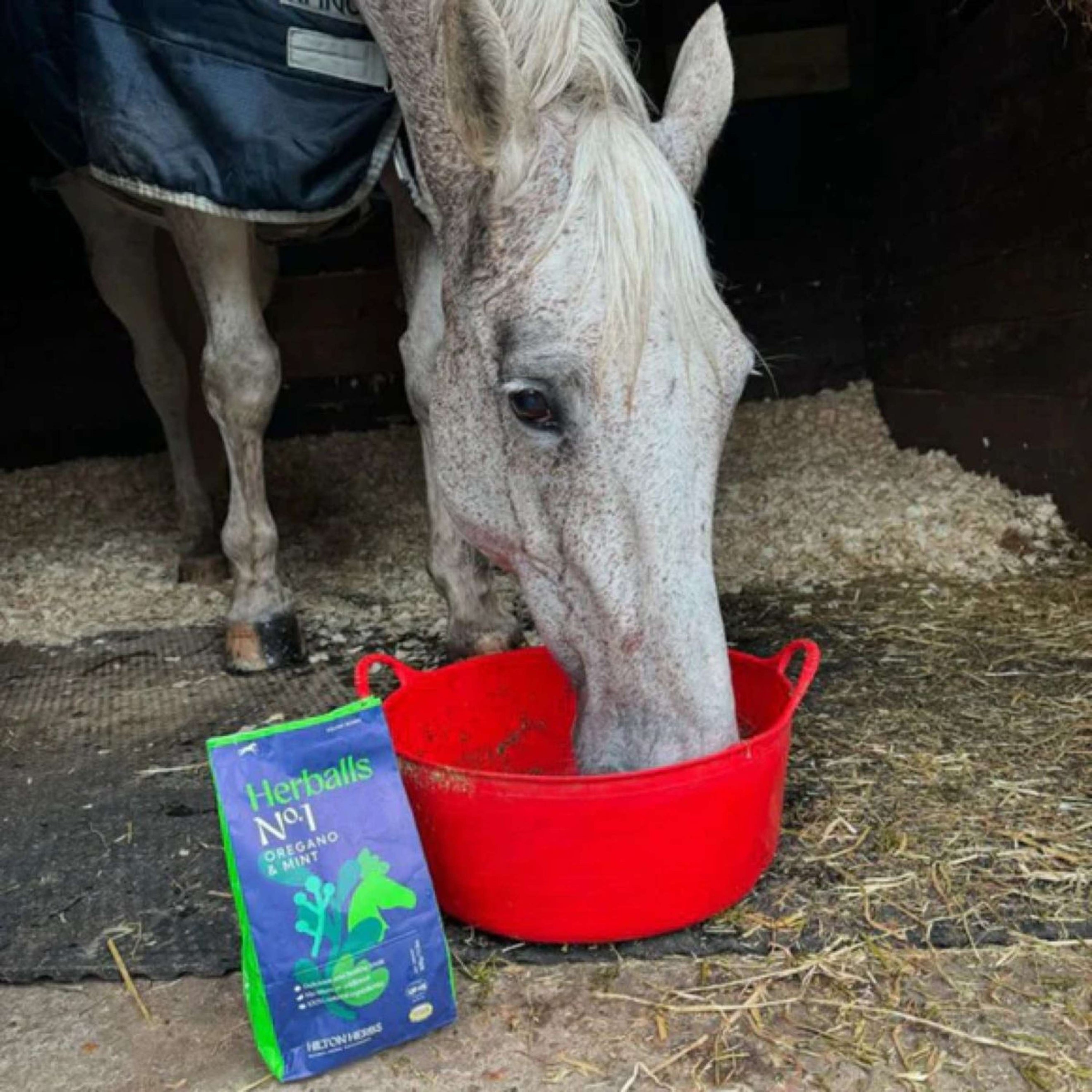 Hilton Herbs Herballs No1 Oregano & Mint Hilton Herbs Herballs No1 Oregano & Mint