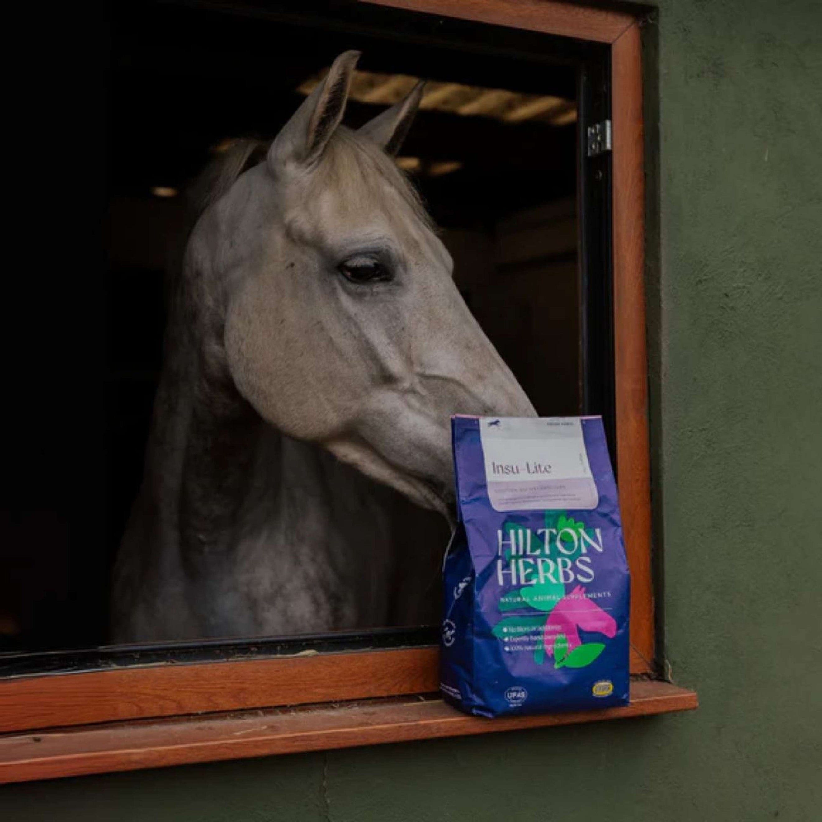 Hilton Herbs Insu-lite