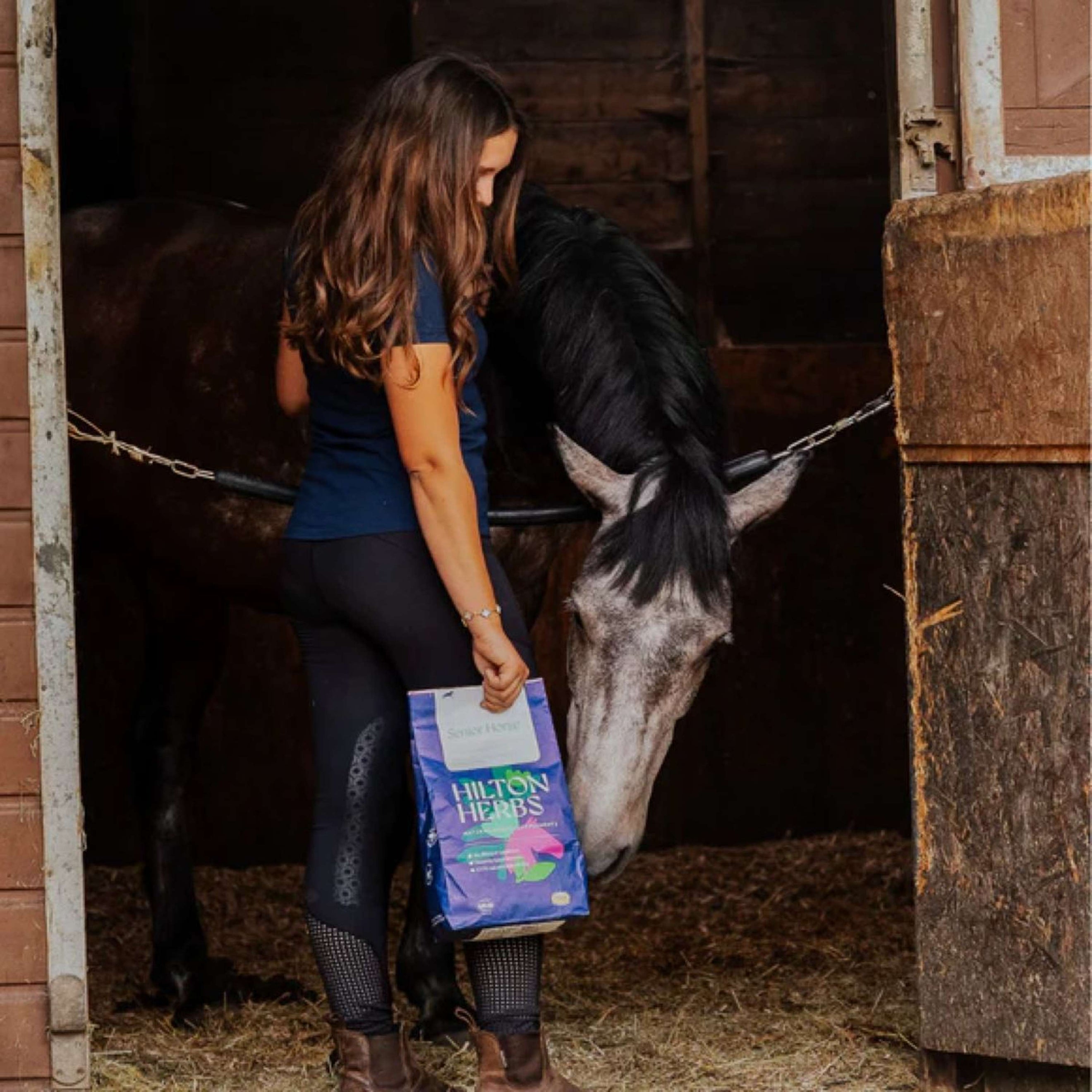 Hilton Herbs Senior Horse