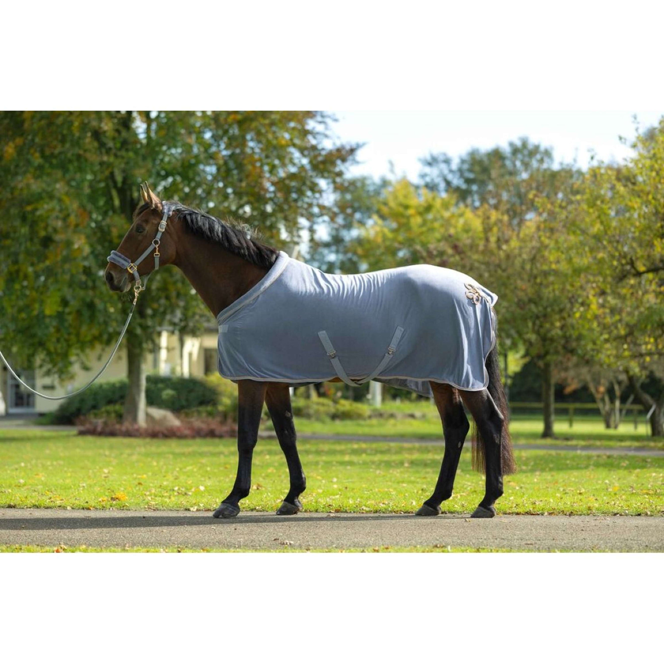 HKM Abschwitzdecke Rosegold Glamour Roségold HKM Abschwitzdecke Rosegold Glamour Roségold