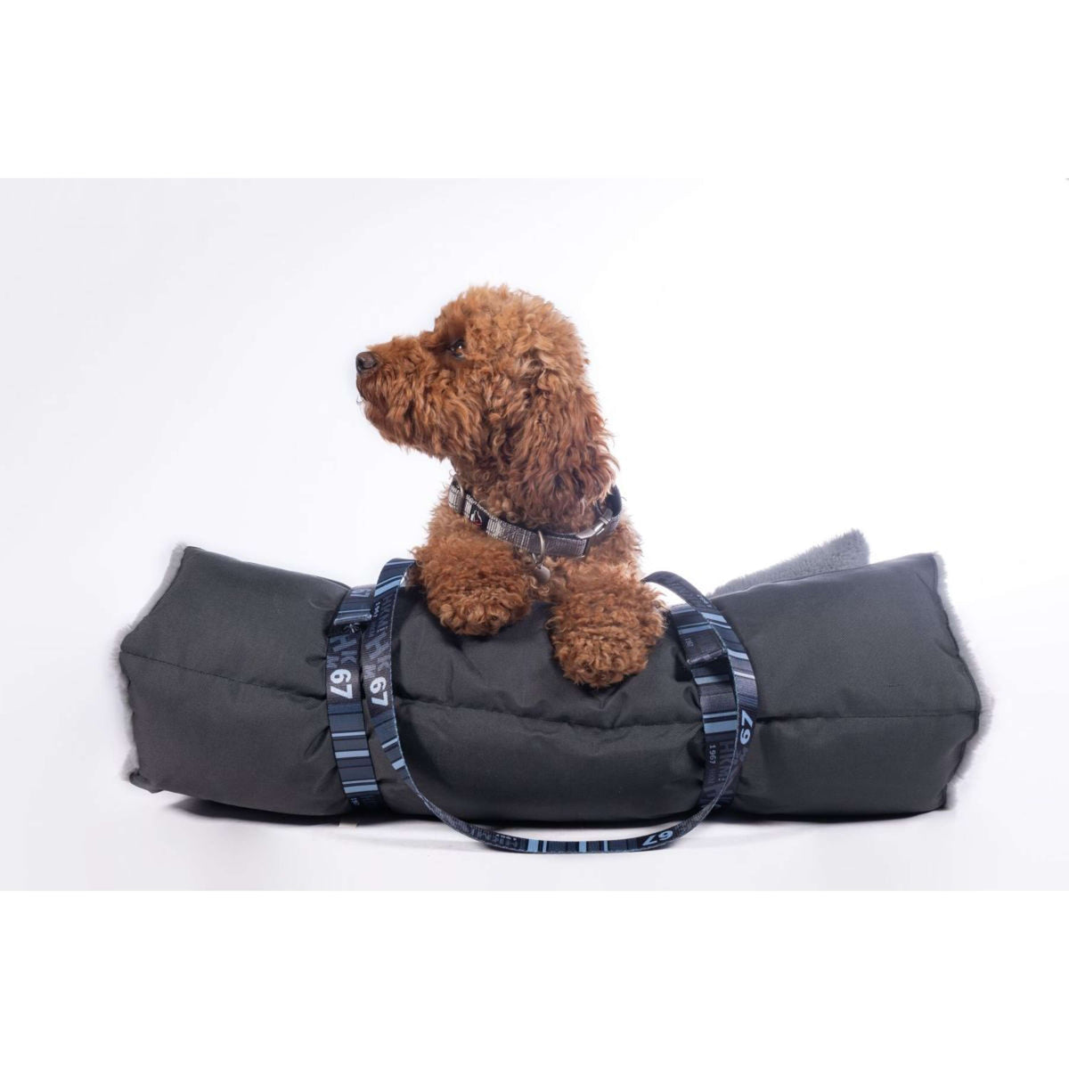 HKM Hundedecke Anam Cara Travel Schwarz/Grau