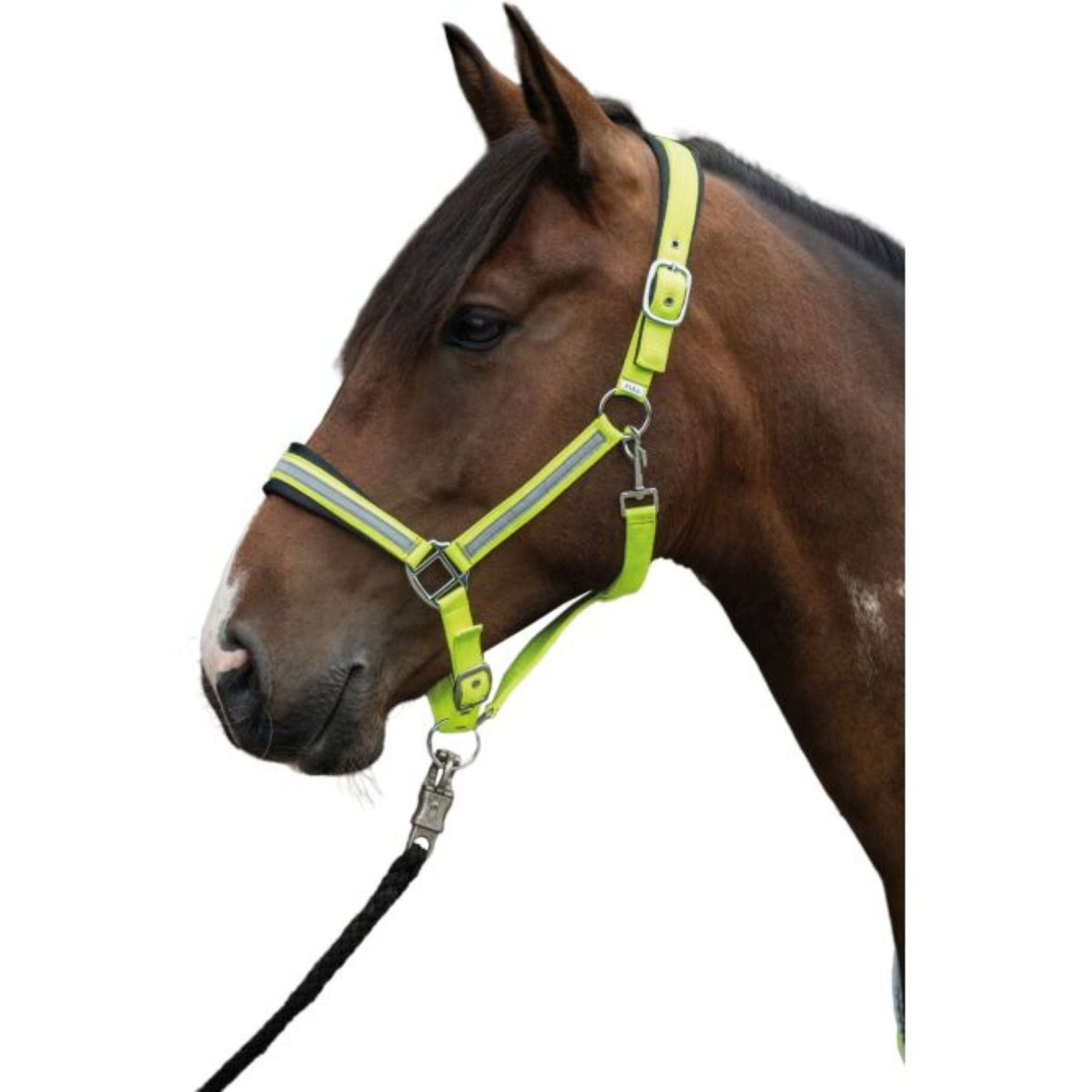 HKM Halfter Reflective Neon Gelb HKM Halfter Reflective Neon Gelb