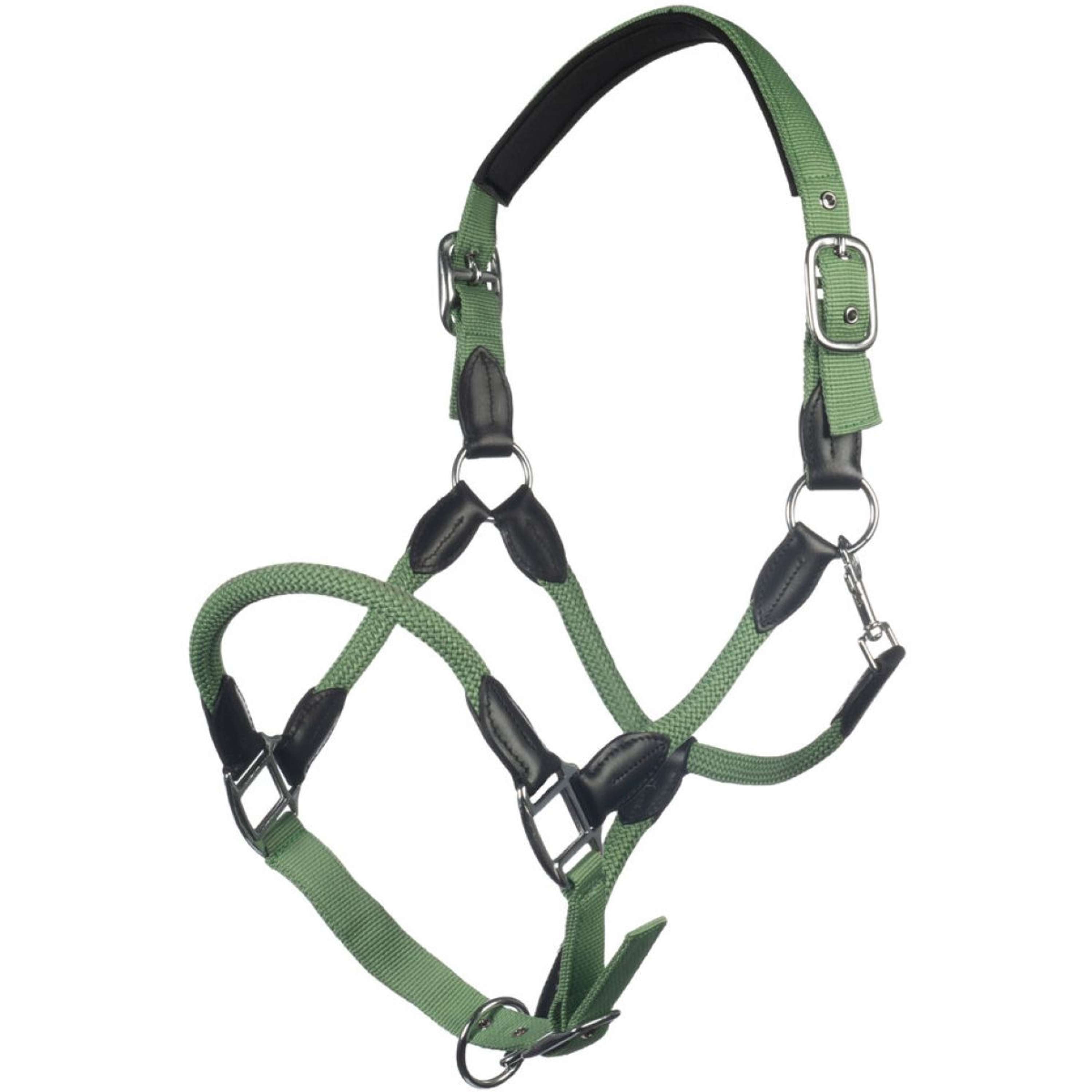 HKM Carlotta Pferde Halfter In Taupe - Elegantes Halfter Für Warmblüter