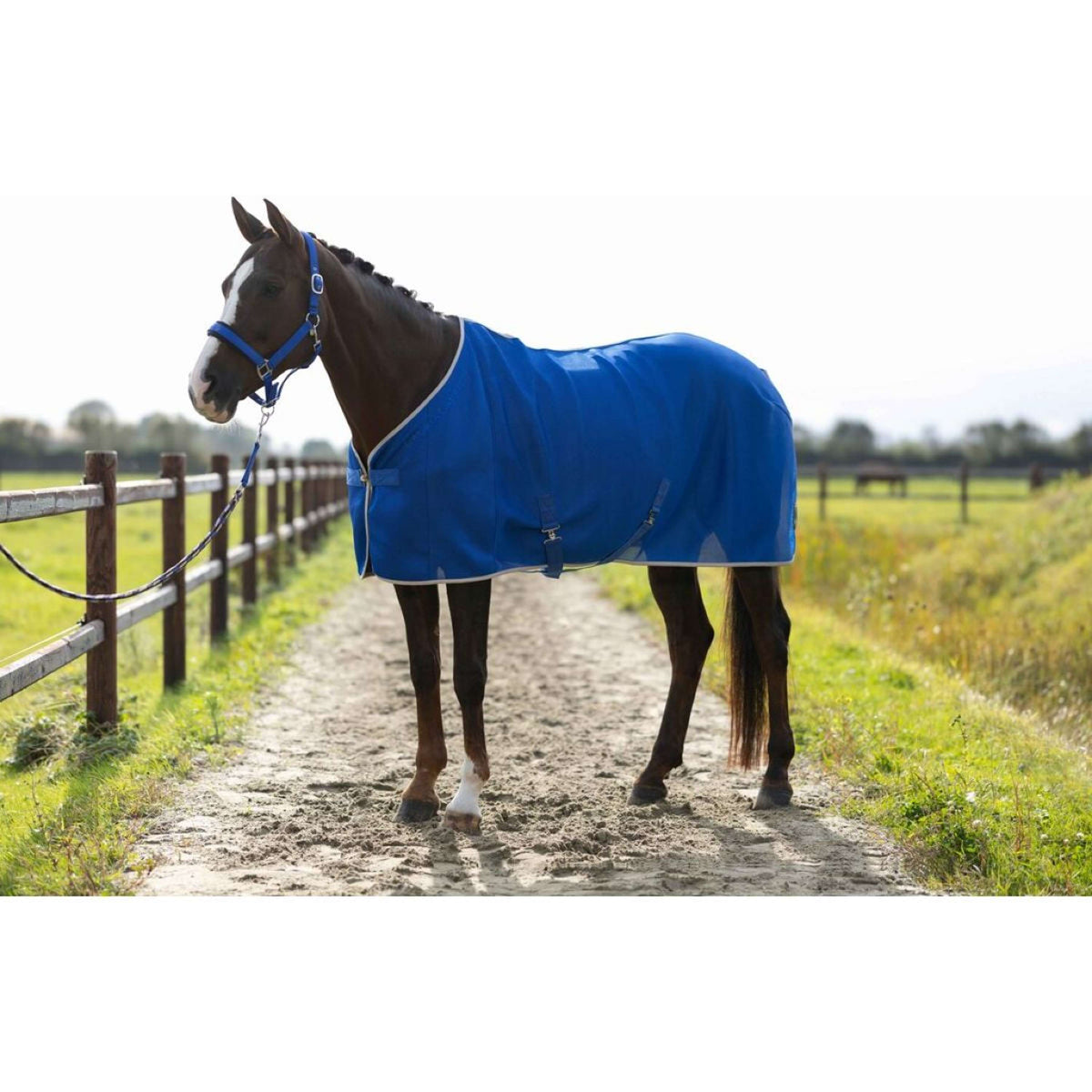 HKM Fliegendecke Amalfi Blau