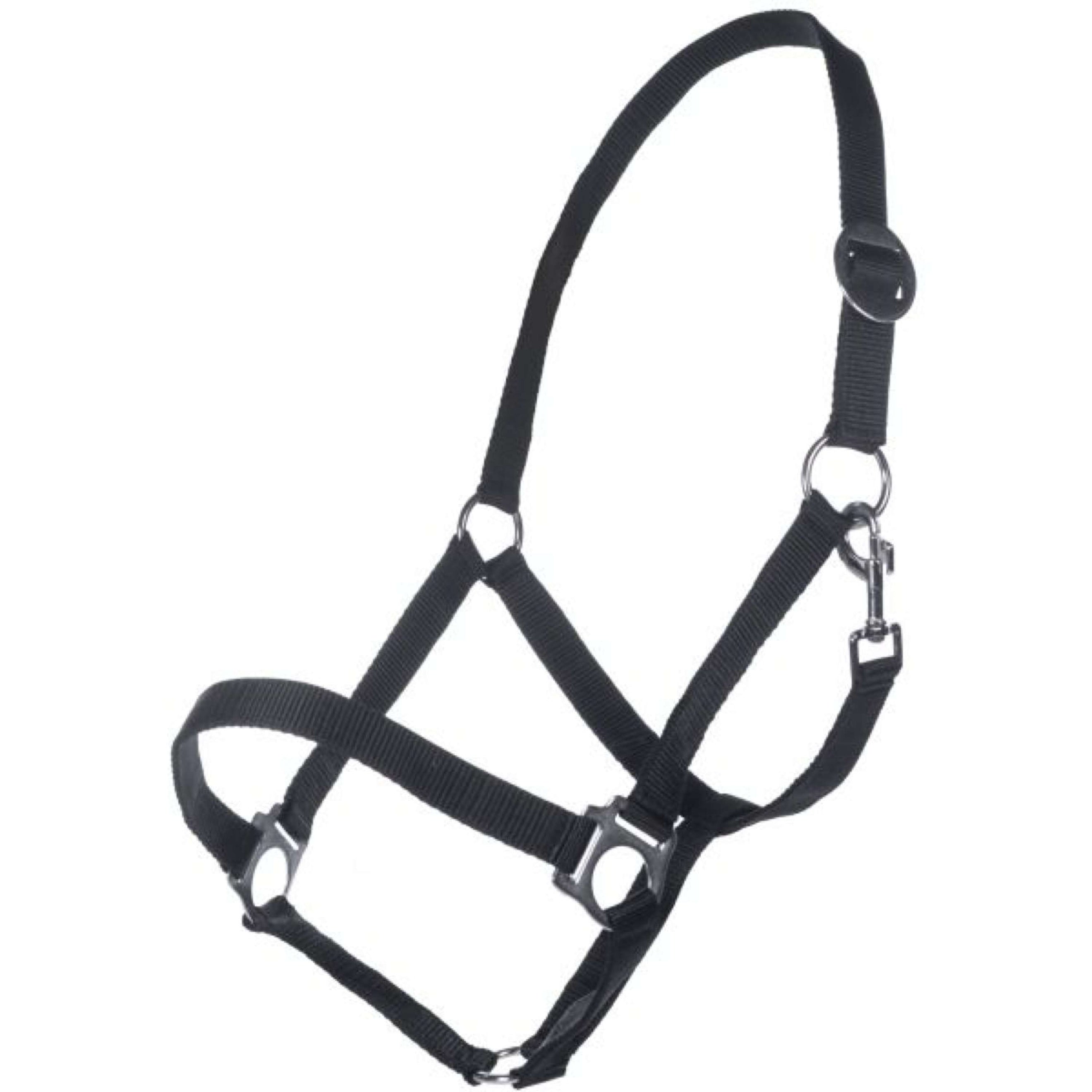 HKM Halfter Classic Schwarz HKM Halfter Classic Schwarz