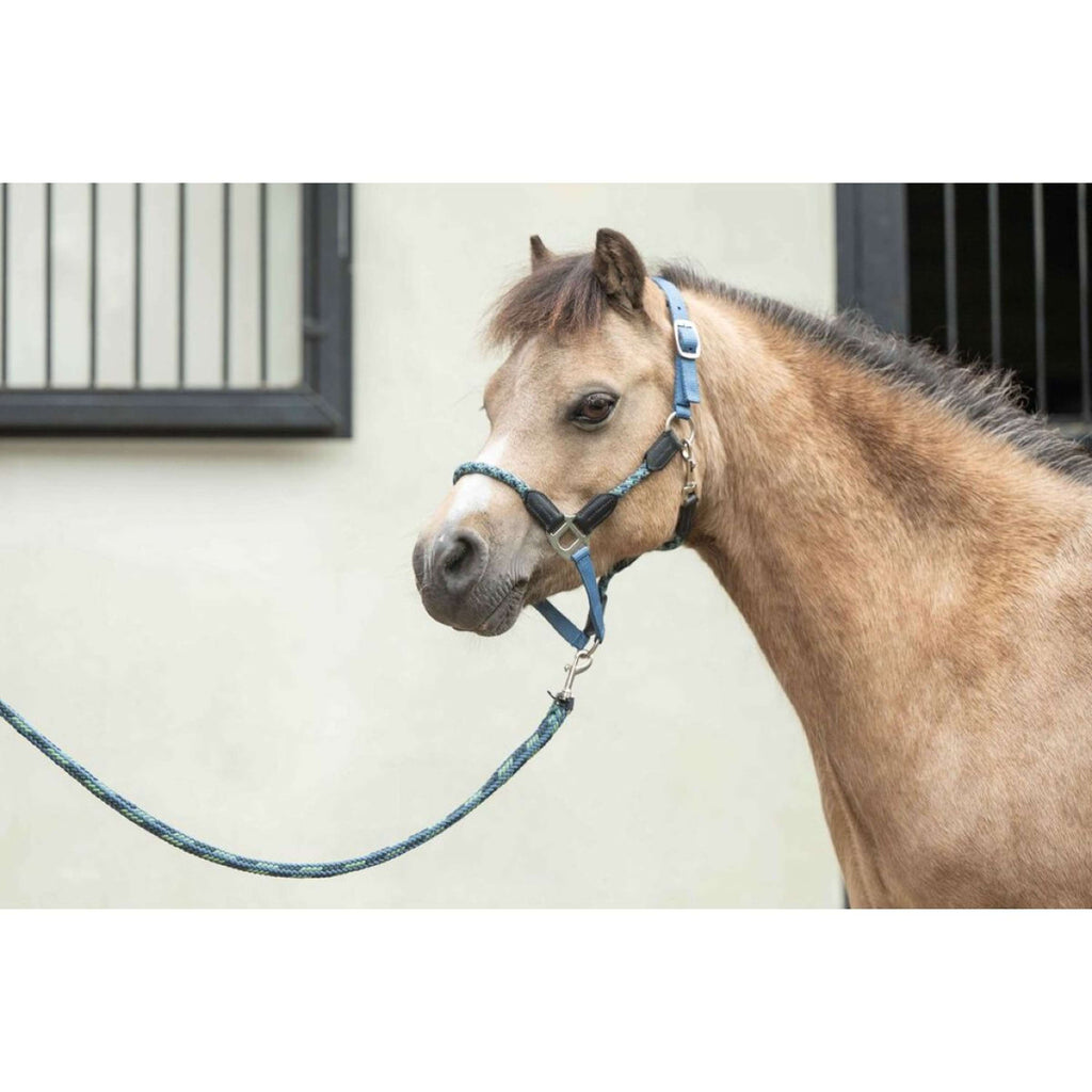 HKM Halfter Nele Rauchblau