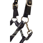 Lauria Garrelli Halfter Limone Sportive Schwarz