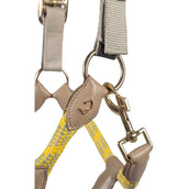 Lauria Garrelli Halfter Limone Sportive Grau/Beige