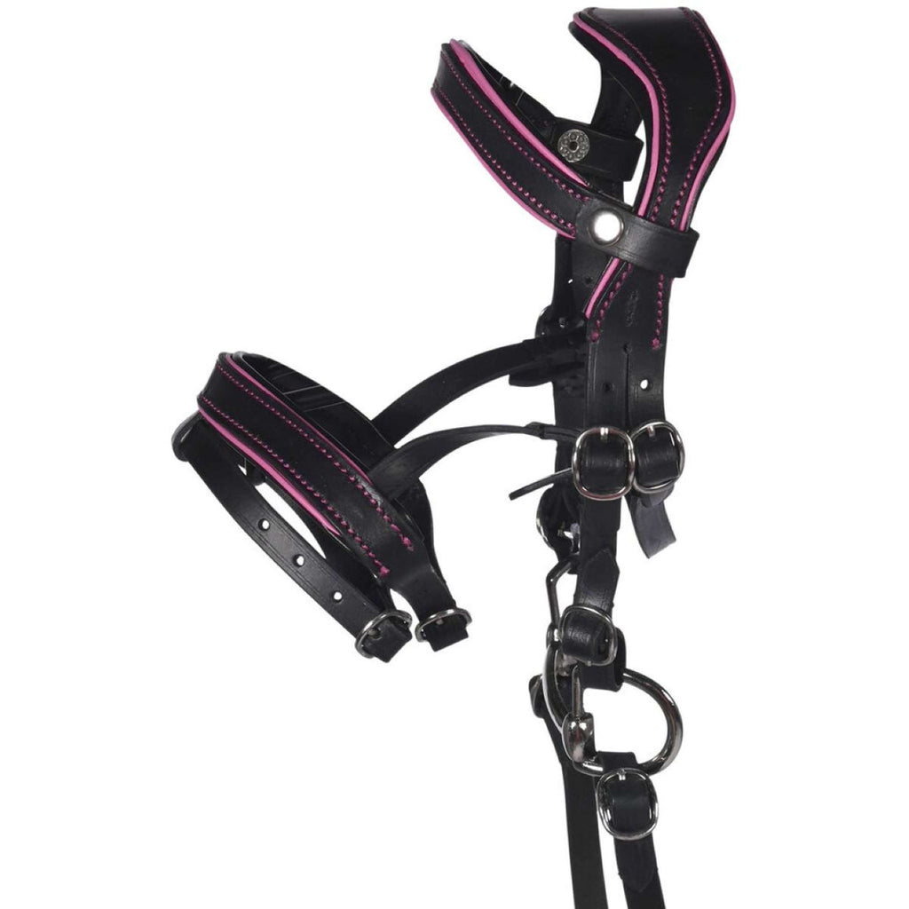 HKM Hobby Horsing Zaum Schwarz/Rosa