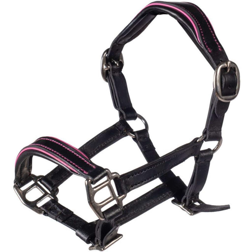 HKM Hobby Horsing Lederhalfter Schwarz/Rosa