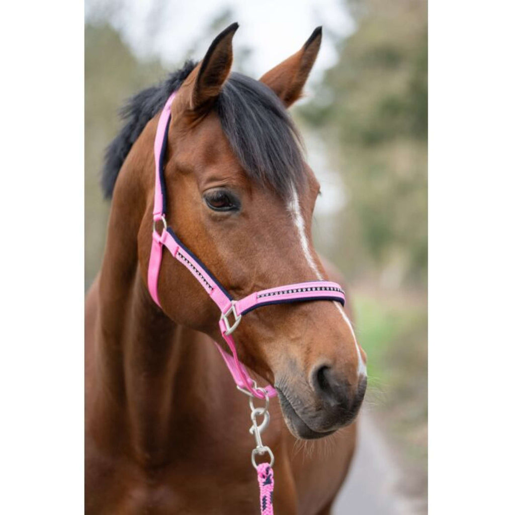 HKM Halfterset Crystal, weich unterlegt Rosa Blau