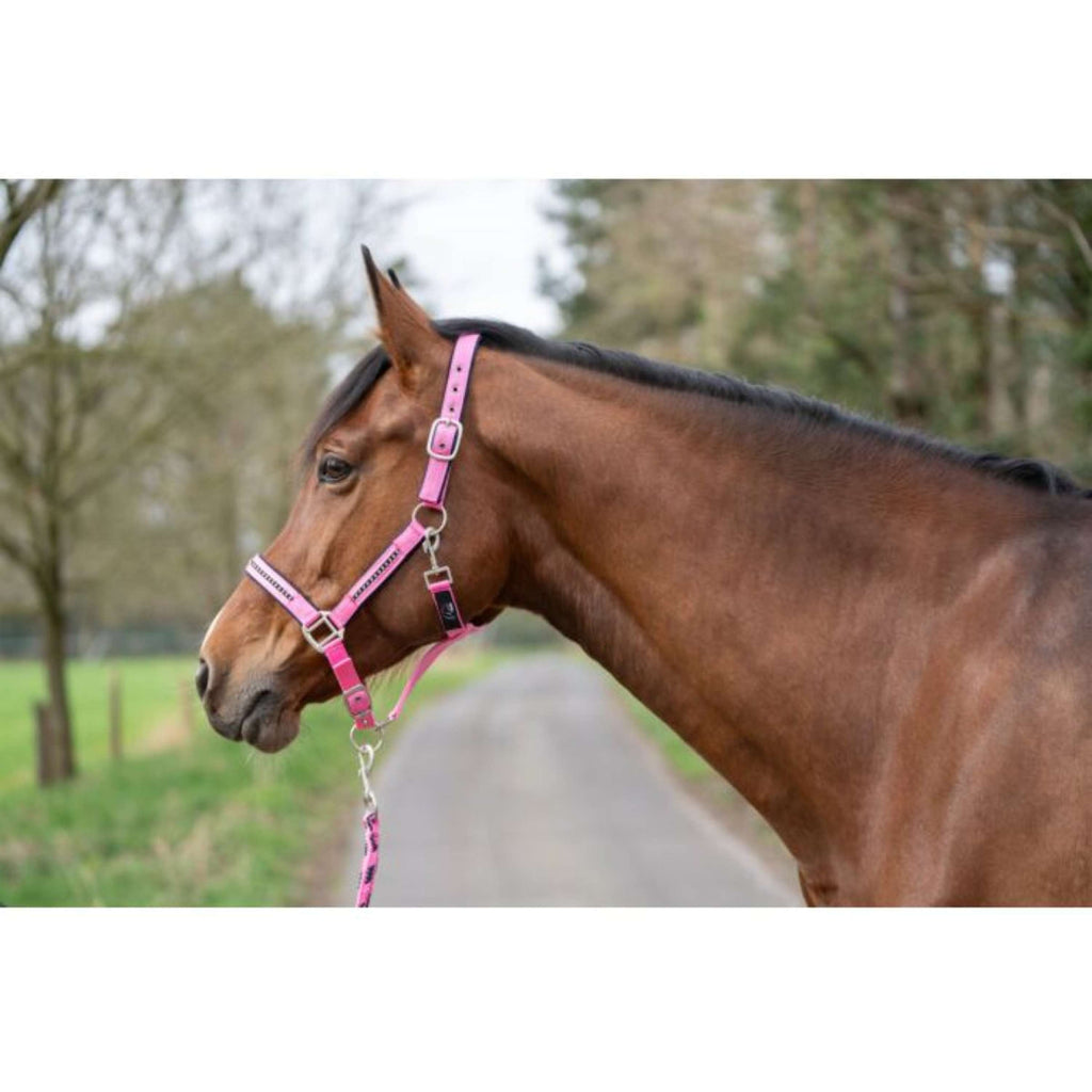 HKM Halfterset Crystal, weich unterlegt Rosa Blau
