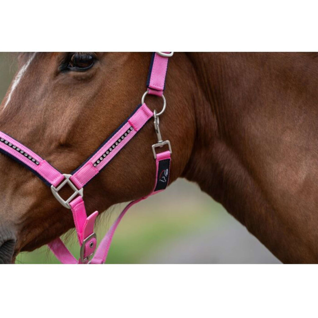 HKM Halfterset Crystal, weich unterlegt Rosa Blau