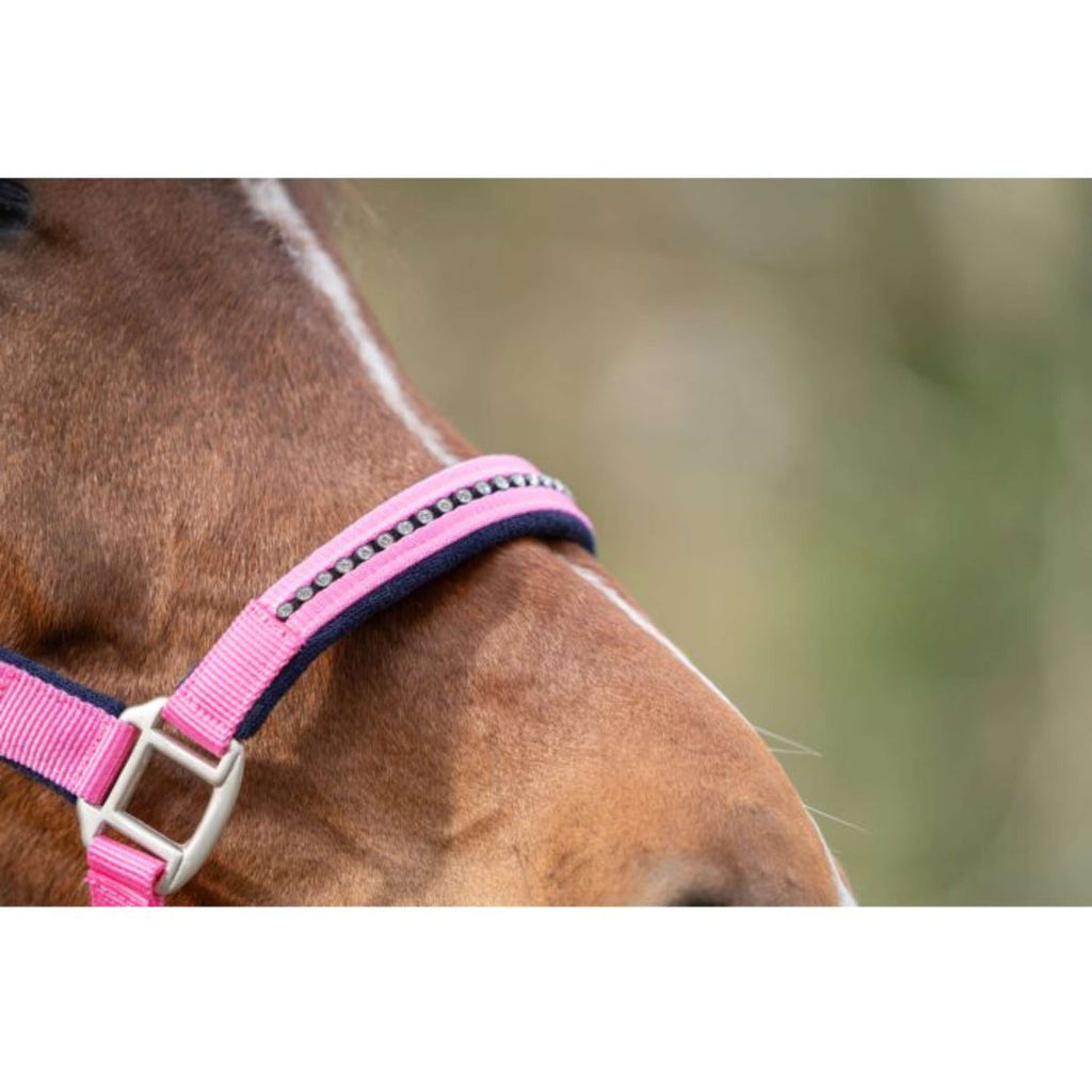HKM Halfterset Crystal, weich unterlegt Rosa Blau