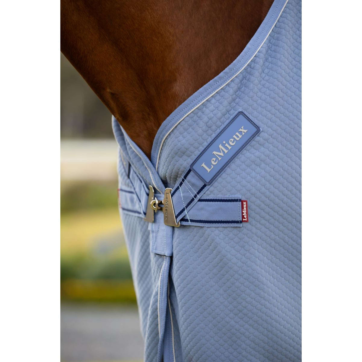 LeMieux Cooler Kudos Bamboo Powder Blue