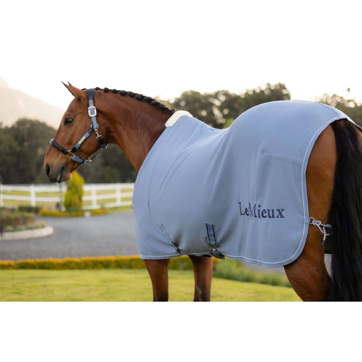 LeMieux Cooler Kudos Bamboo Powder Blue