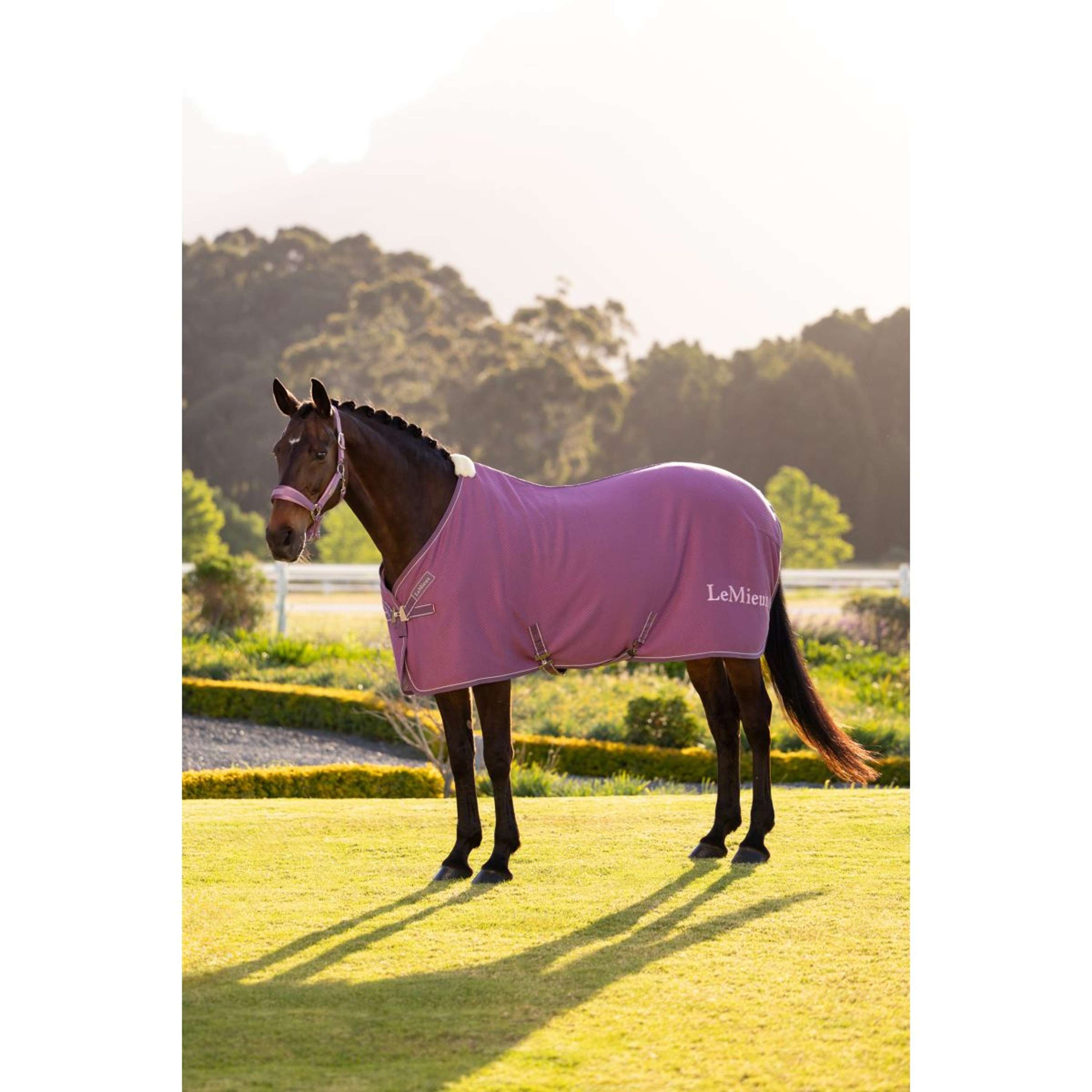 LeMieux Cooler Kudos Bamboo Mallow