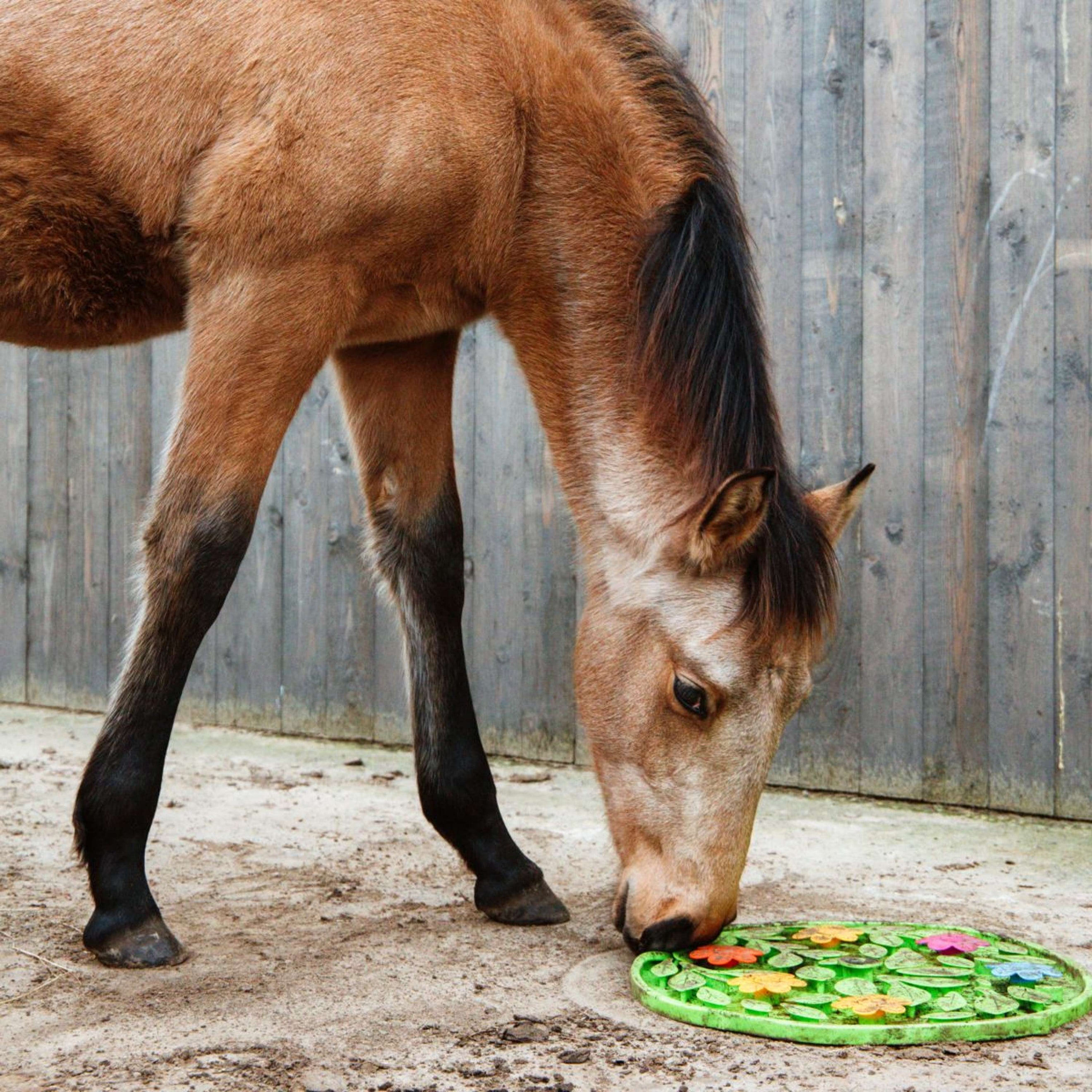 Excellent Snuffelmatte Horse Flower Power