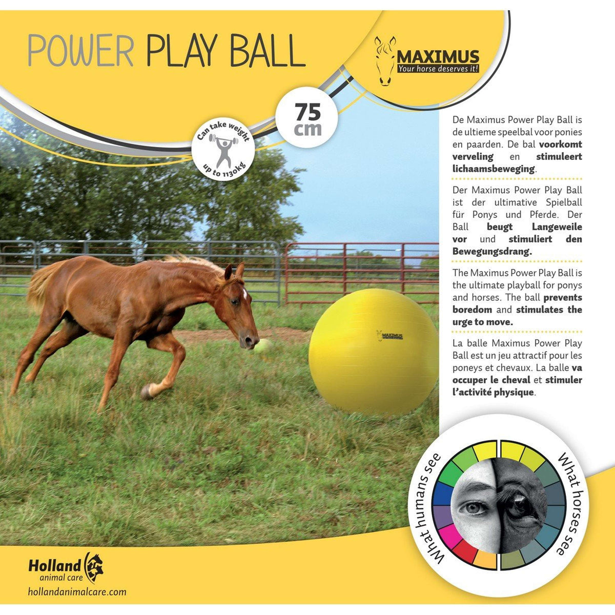 Maximus Power Play Ball Gelb