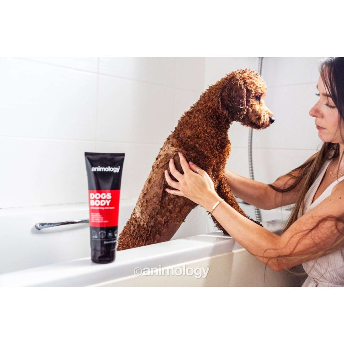 Animology Shampoo Dogs Body