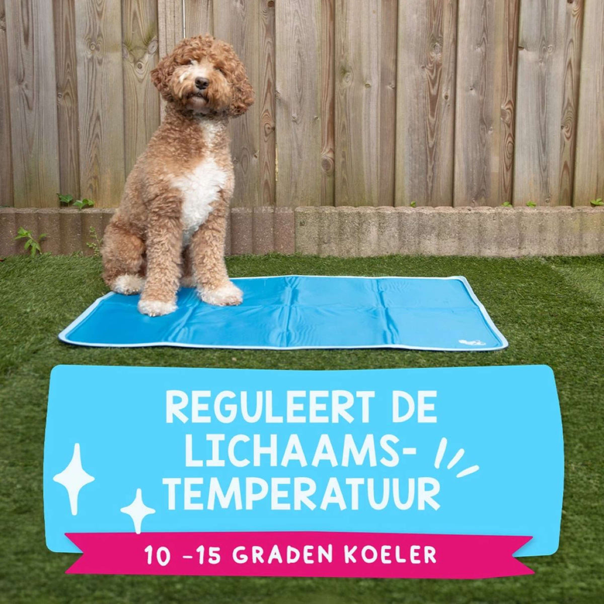 Coolpets Kühlmatte Premium Solid Gel