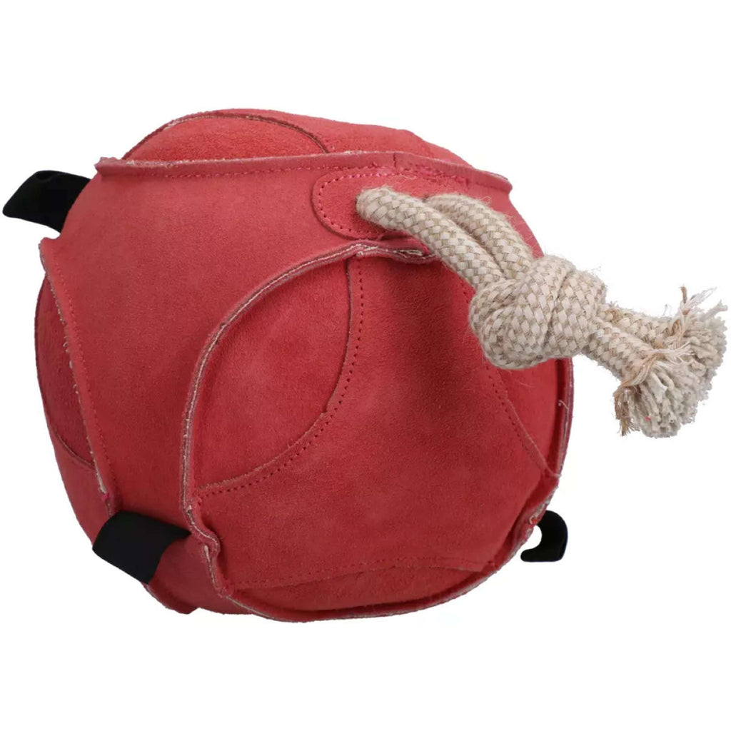 Excellent Pferde spielen Spaß Ball Suede Rosa