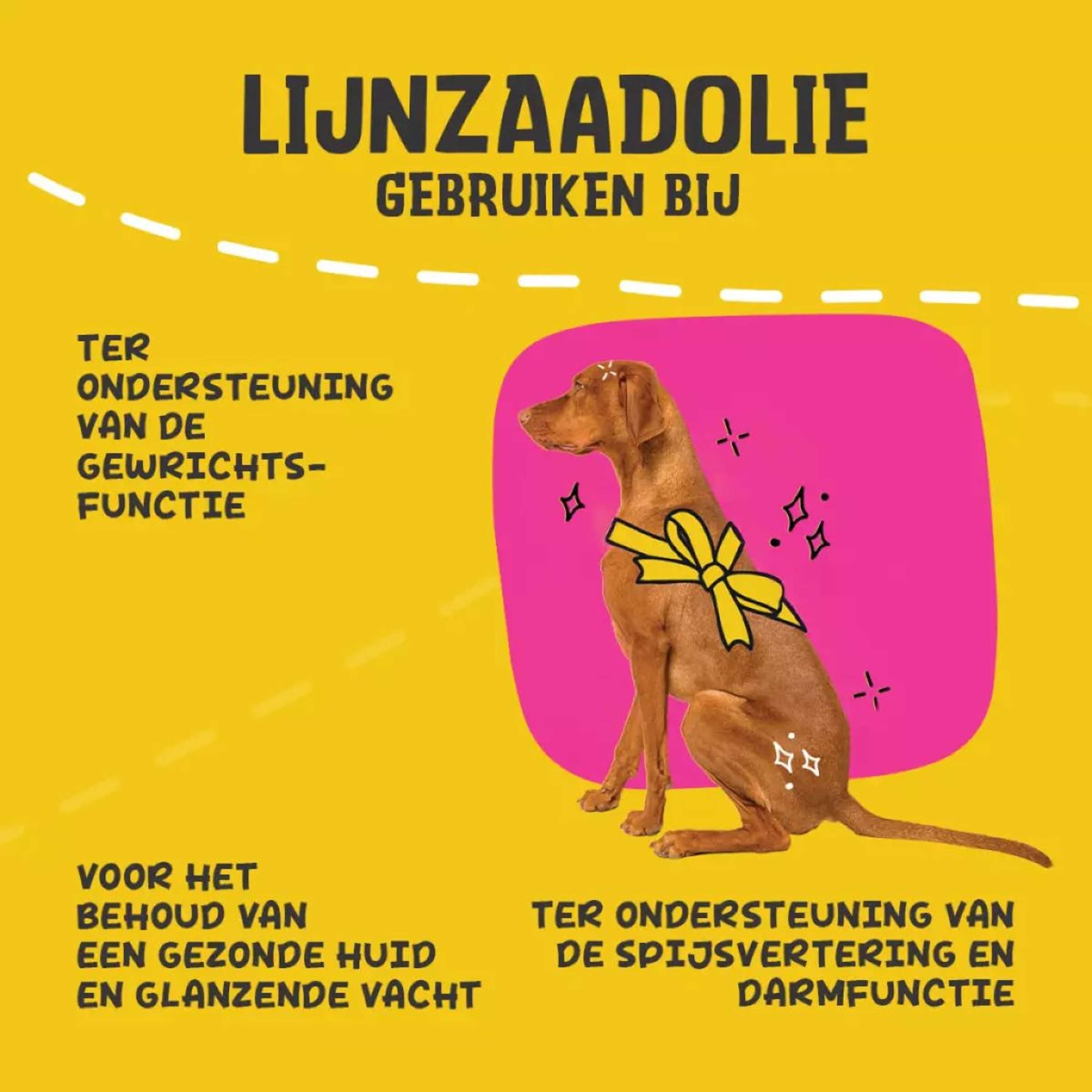 Agradi Leinöl Voor Honden