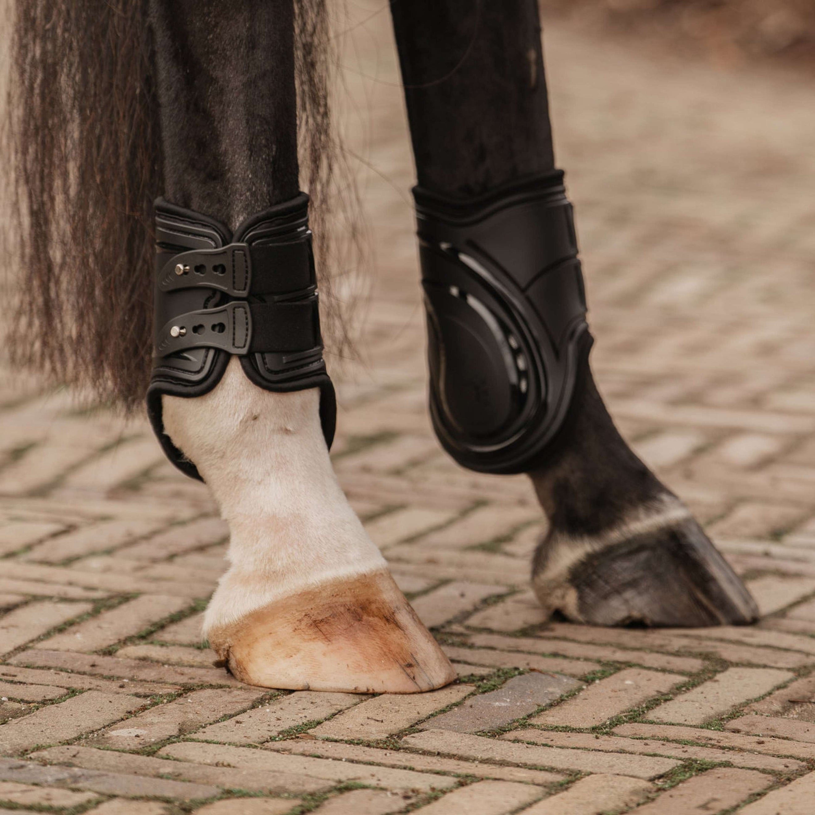 EQPRO Streichkappen Pro Schwarz EQPRO Streichkappen Pro Schwarz