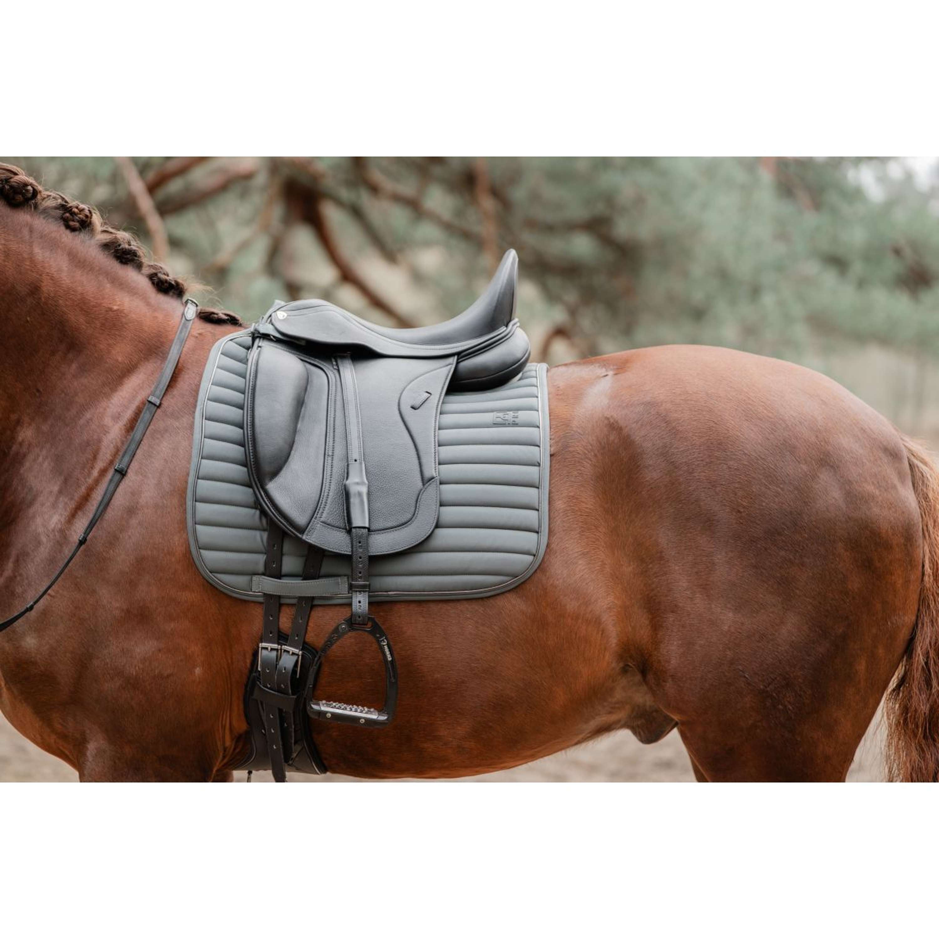 EQPRO Schabracke Softshell Dressur Shadow Steel