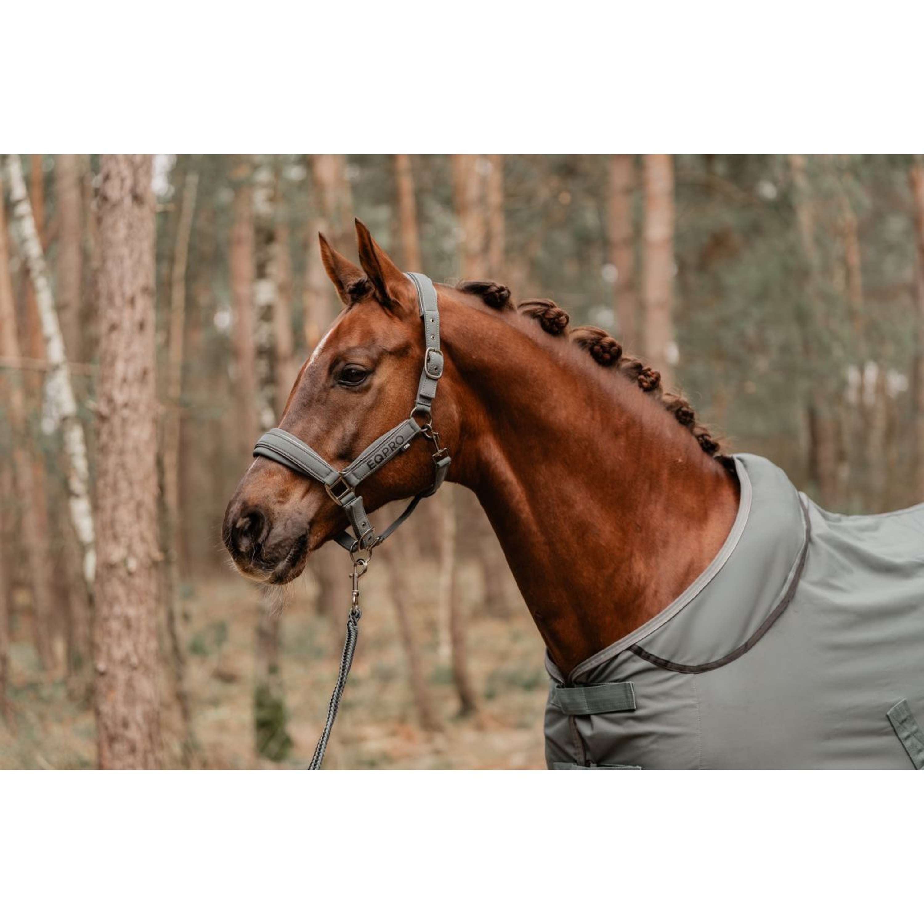 EQPRO Halfterset Softshell Shadow Steel