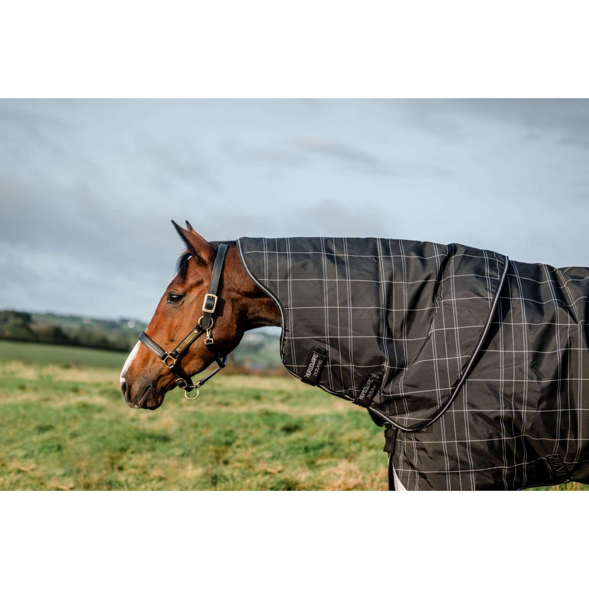 Rhino Plus Turnout Bundle 0g + 200g Black Check/Schwarz/Weiß