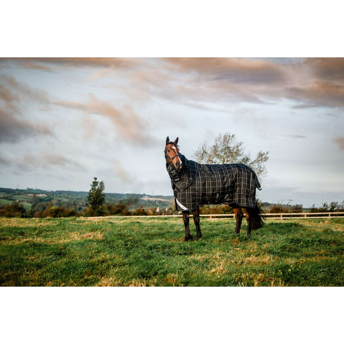 Rhino Plus Turnout Bundle 0g + 200g Black Check/Schwarz/Weiß