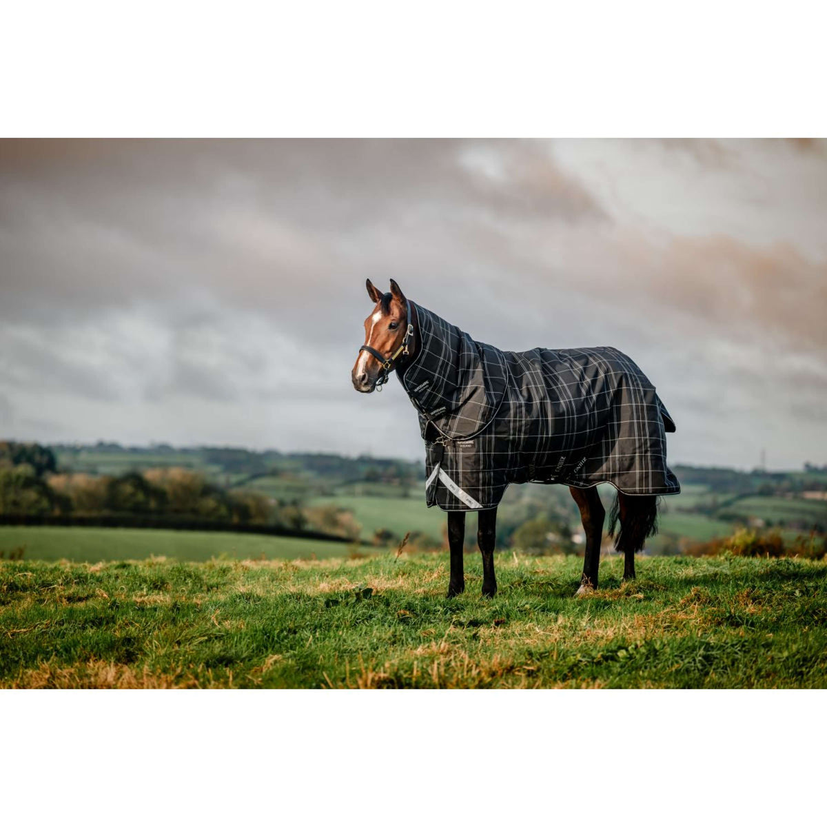 Rhino Plus Turnout Bundle 0g + 200g Black Check/Schwarz/Weiß