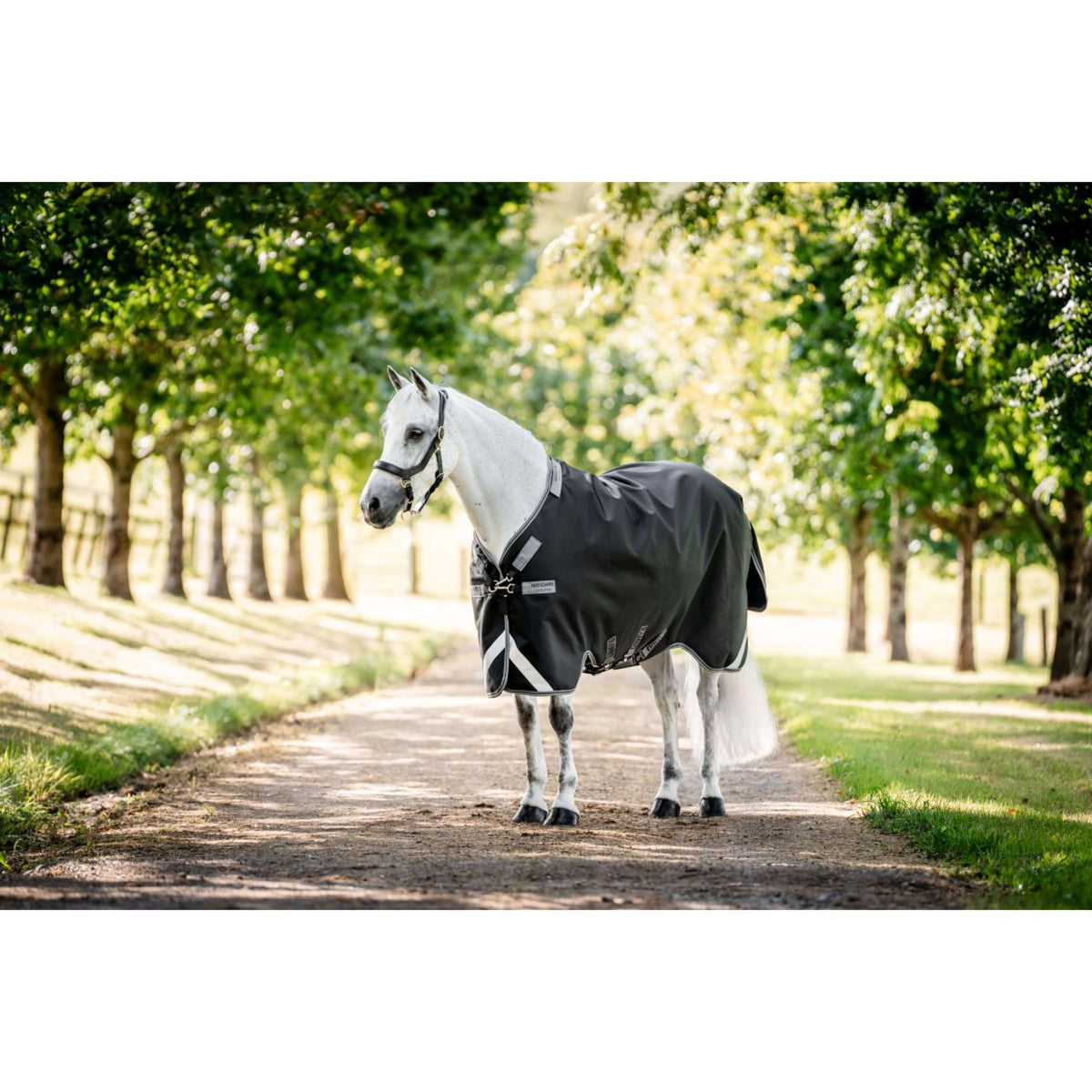 Rambo Turnout Rug 1680D Varilayer 450g Black/Thunderstorm Grey/Silver