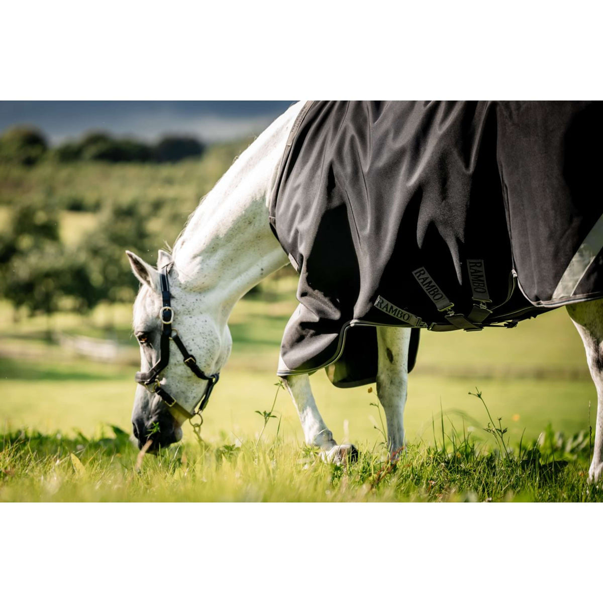 Rambo Turnout Rug 1680D Varilayer 450g Black/Thunderstorm Grey/Silver