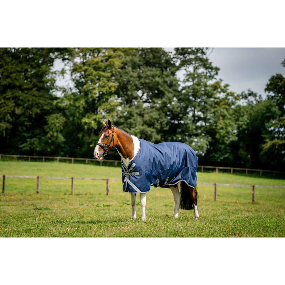 Amigo Turnout Rug 1200D 250g Navy/Titanium Grey/Silver