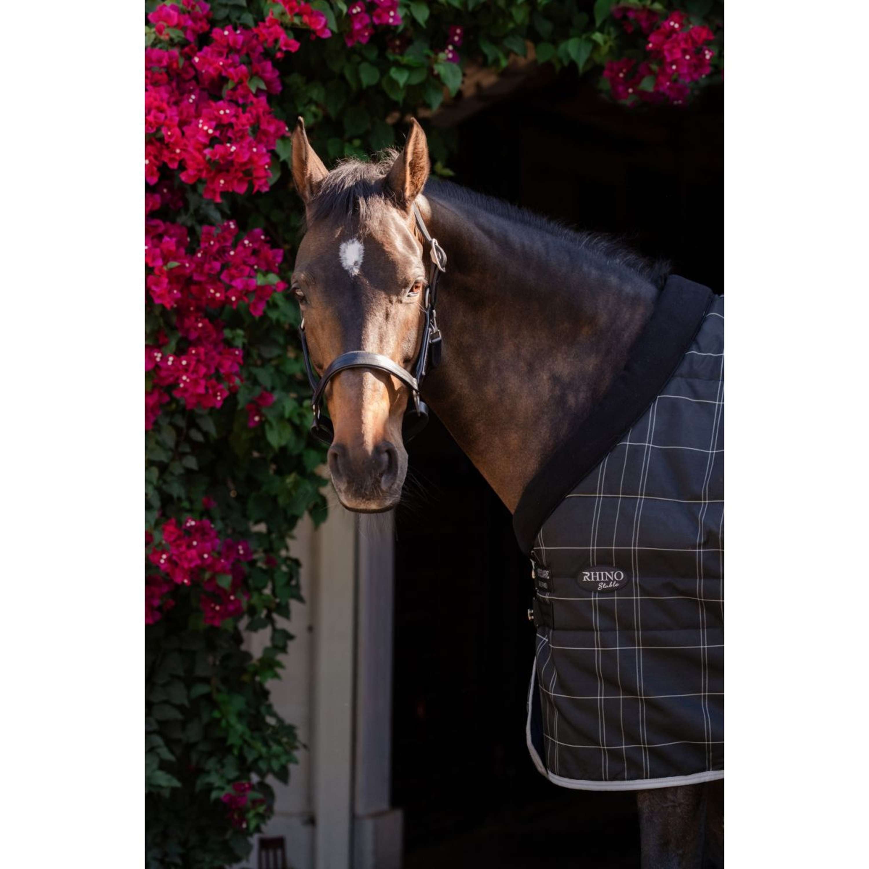 Rhino Pony Stable 100g Black/Grey/White Check/Gray