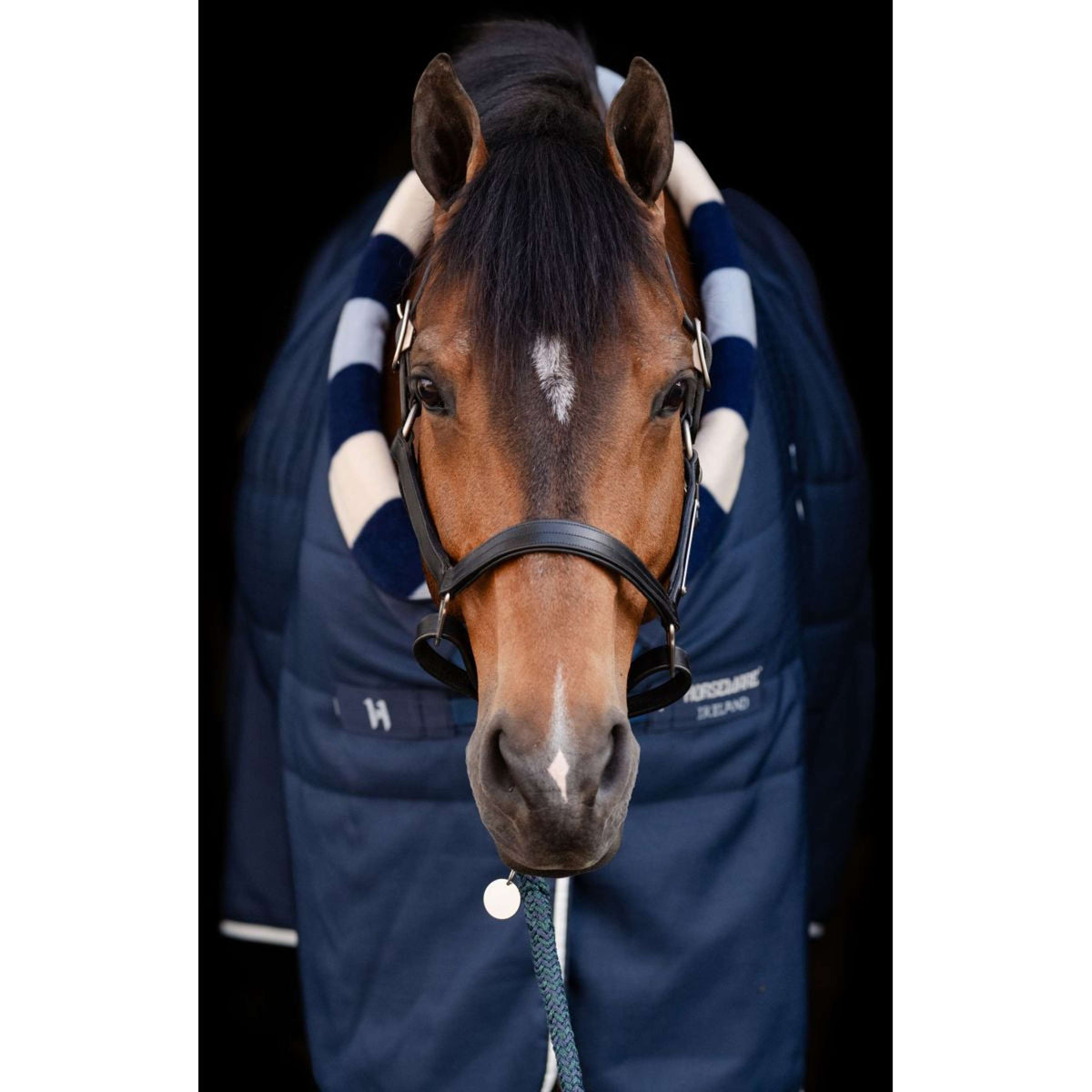Horseware Cosy Stable Newmarket 200g Witney Navy