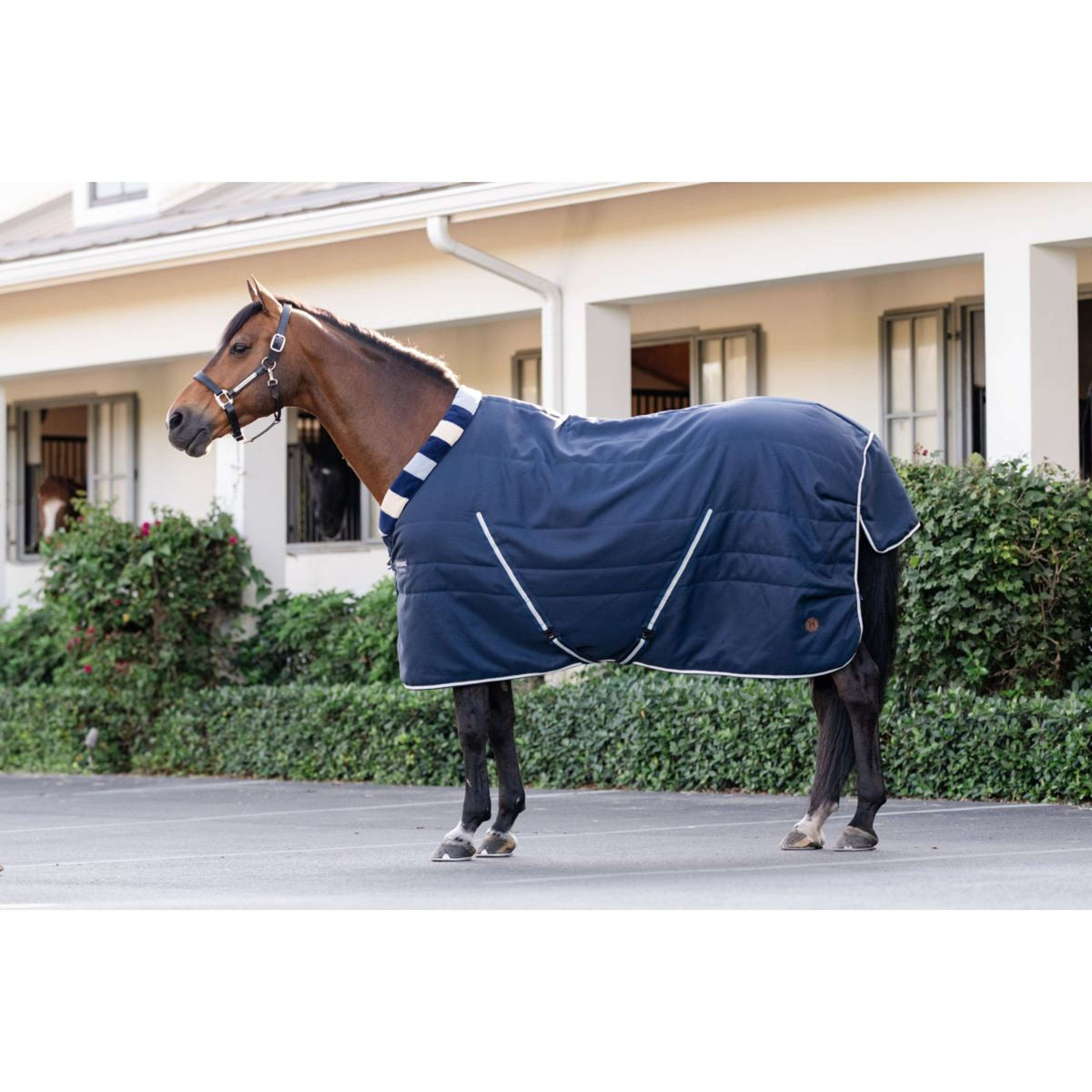 Horseware Cosy Stable Newmarket 200g Witney Navy