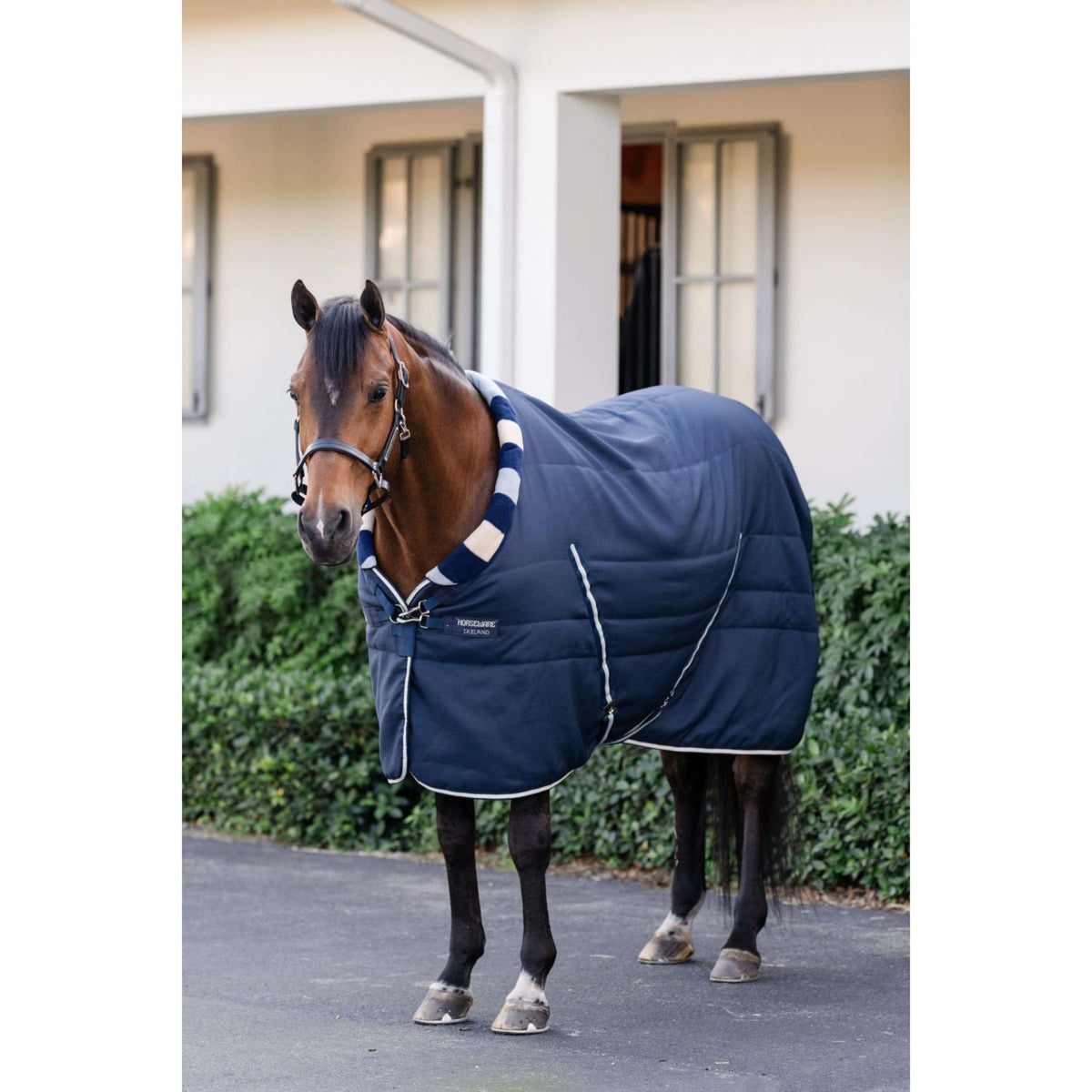 Horseware Cosy Stable Newmarket 200g Witney Navy